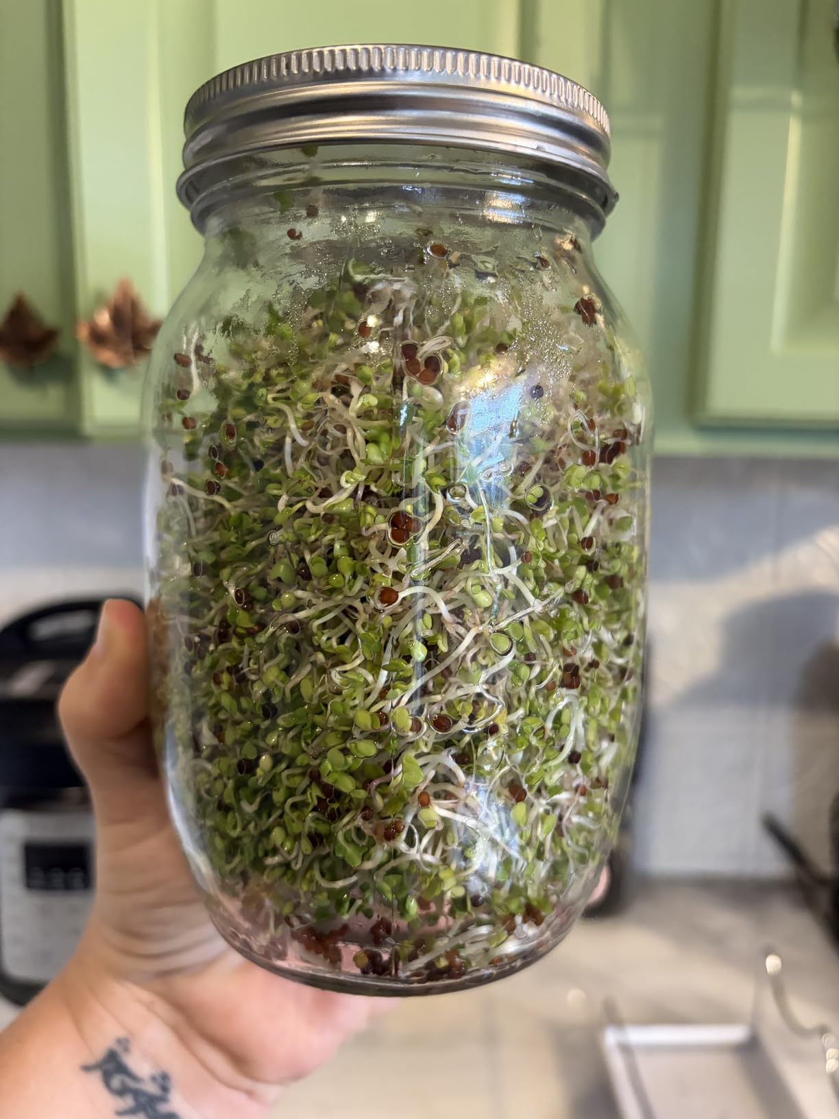 Seed Sprouting Jar Kit - 2 Wide Mouth Mason Jars with 316 Stainless Steel Sprouting Lids Covers, Drip Tray and Stand for Growing Broccoli Alfalfa Beans Sprout (Two Jars) customer photo 2