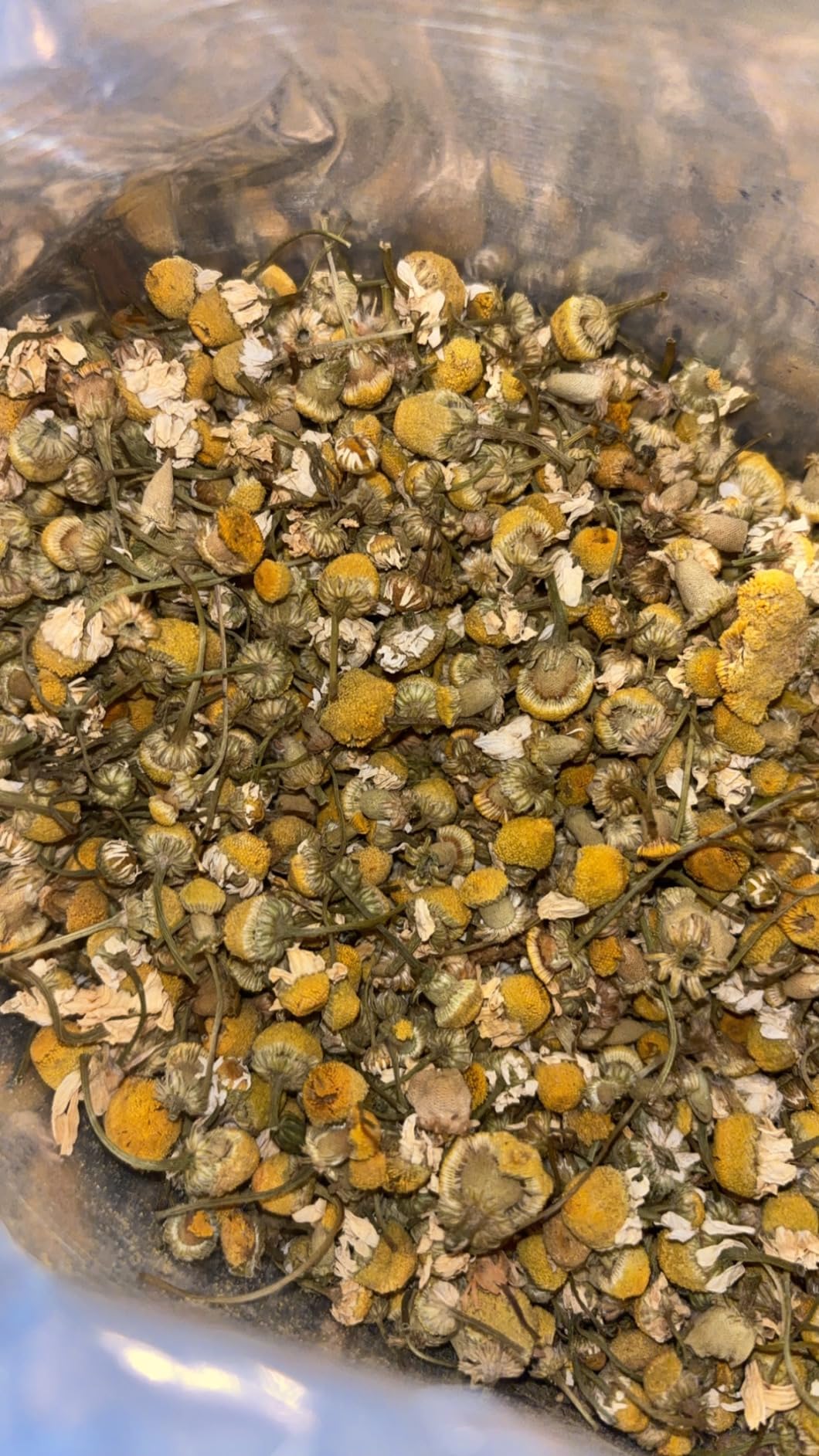 Organic Chamomile Flowers - 8 ounces - 100% Organic - Herbal Tea - Flor de Manzanilla - EarthWise Aromatics customer photo 1