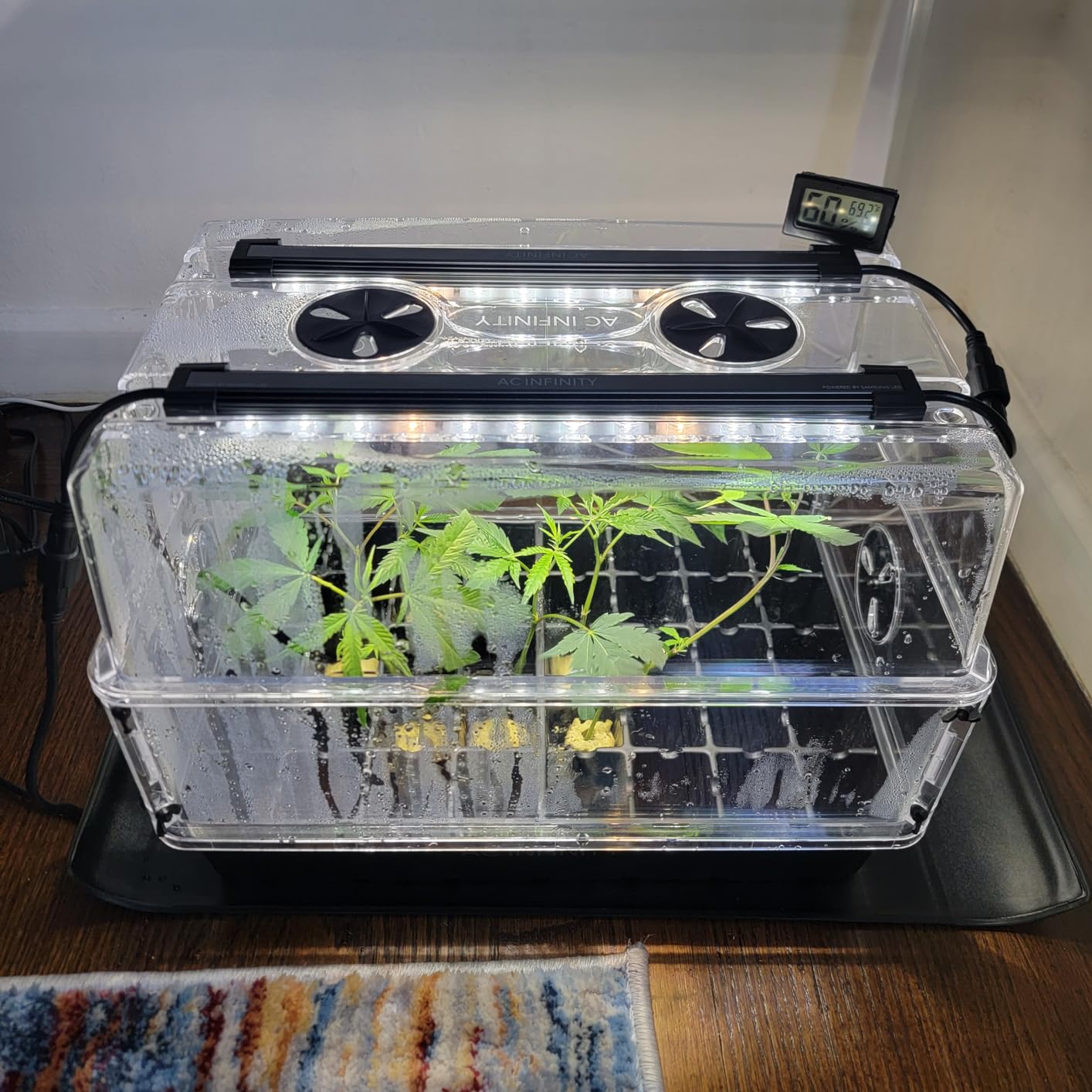 AC Infinity Heavy-Duty Humidity Dome with Full Spectrum LED Grow Light Bars, Samsung LM301H EVO Diodes, 3mm Thickest Dome and 5x8 Trays, Vent Extension Panels, for Seed Starting and Propagation customer photo 2