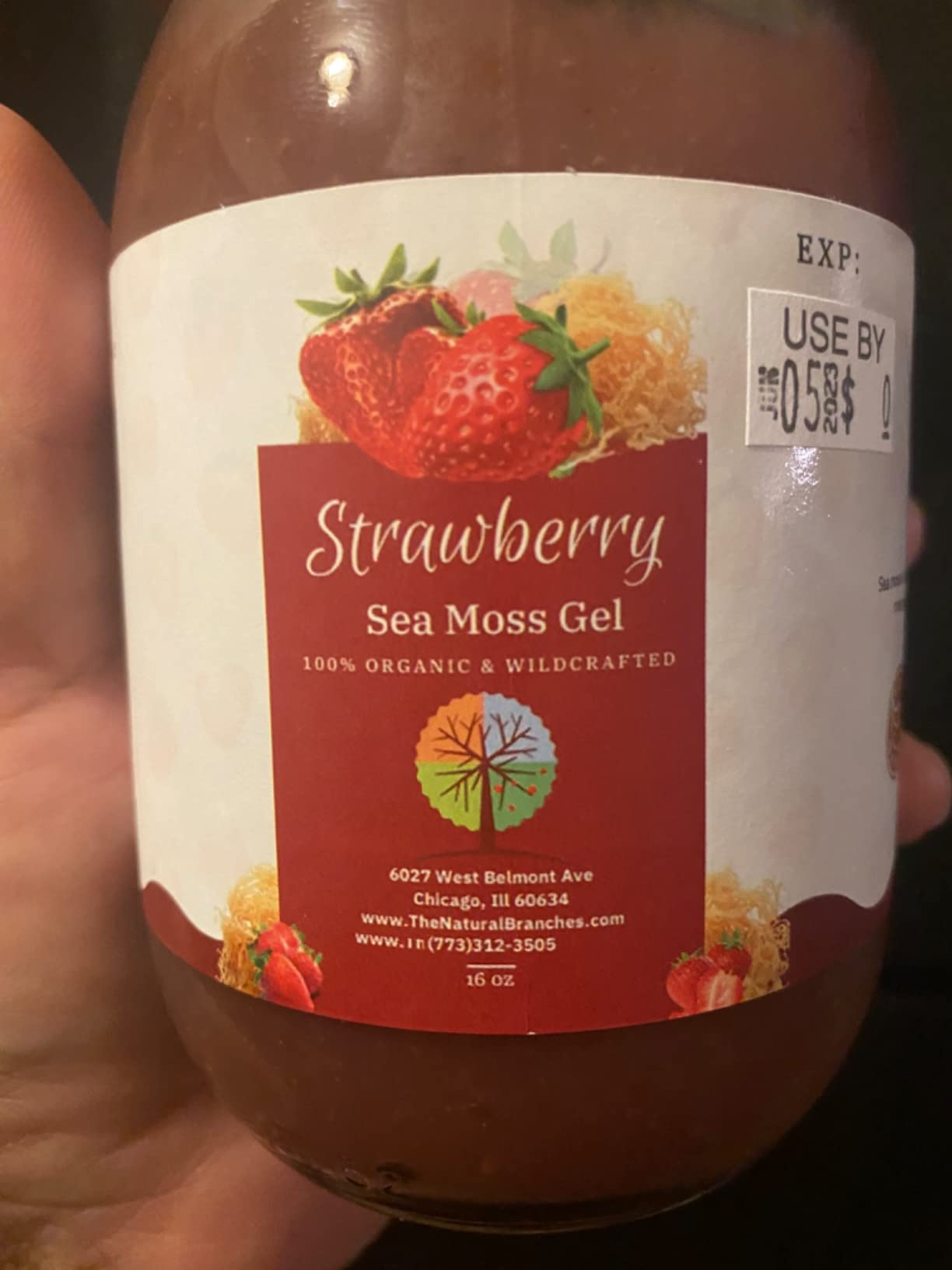 Organic Strawberry Sea Moss Gel with Elderberry 16 oz - All Natural & Certified USDA Organic Seamoss Gel - Wildcrafted Saint Lucia Sea Moss Gel - Fruit Flavored Sea Moss Gel - Made in the USA customer photo 1