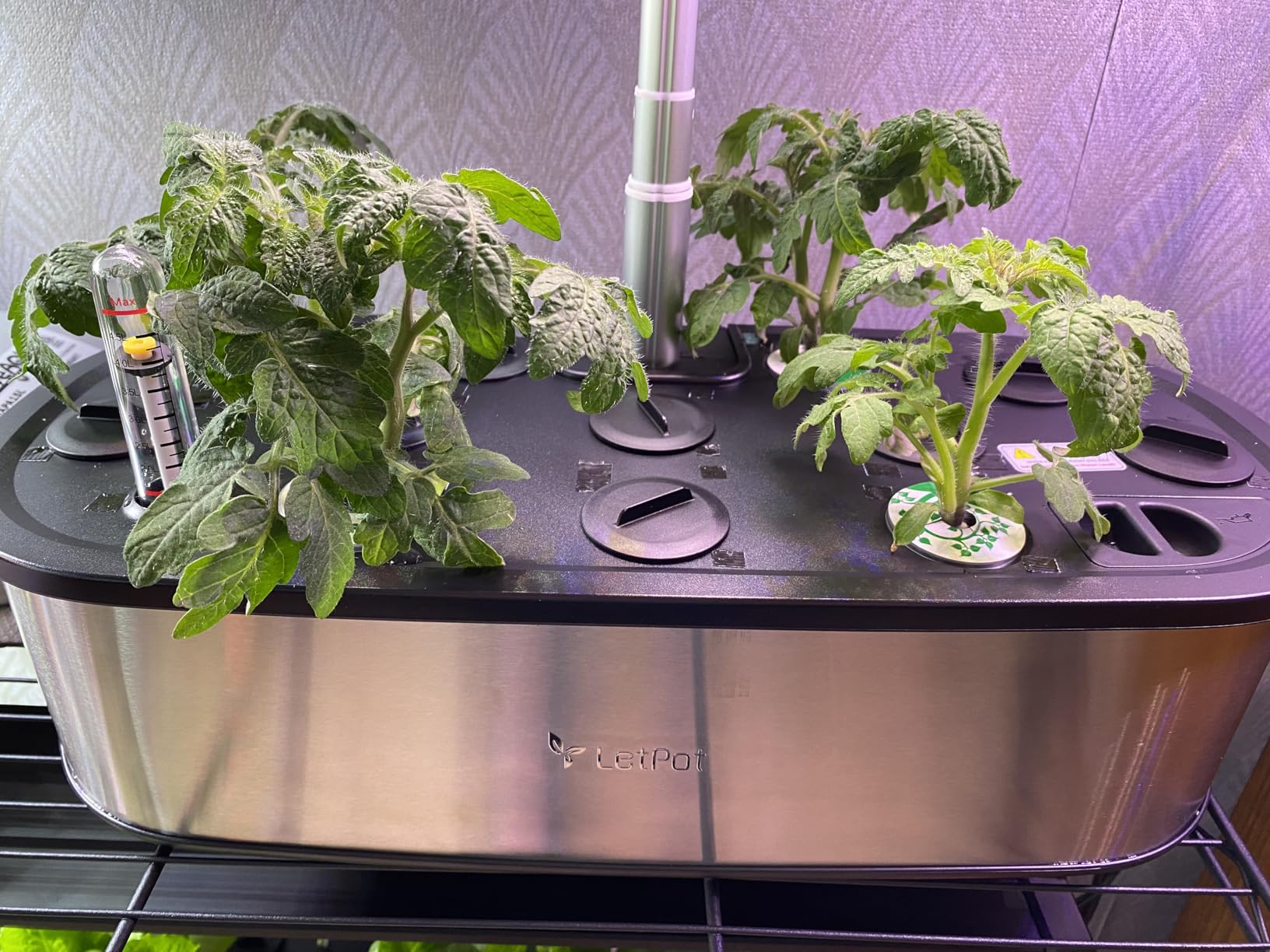 LETPOT LPH-SE Hydroponics Growing System, 12 Pods Smart Herb Garden Kit Indoor, Indoor Garden, APP & WiFi Controlled, with 24W Growing LED, 5.5L Water Tank, Pump System, Automatic Timer | APP & WiFi Controlled, 24W Growing LED, 5.5L Water Tank, Pump System, Automatic Timer customer photo 2