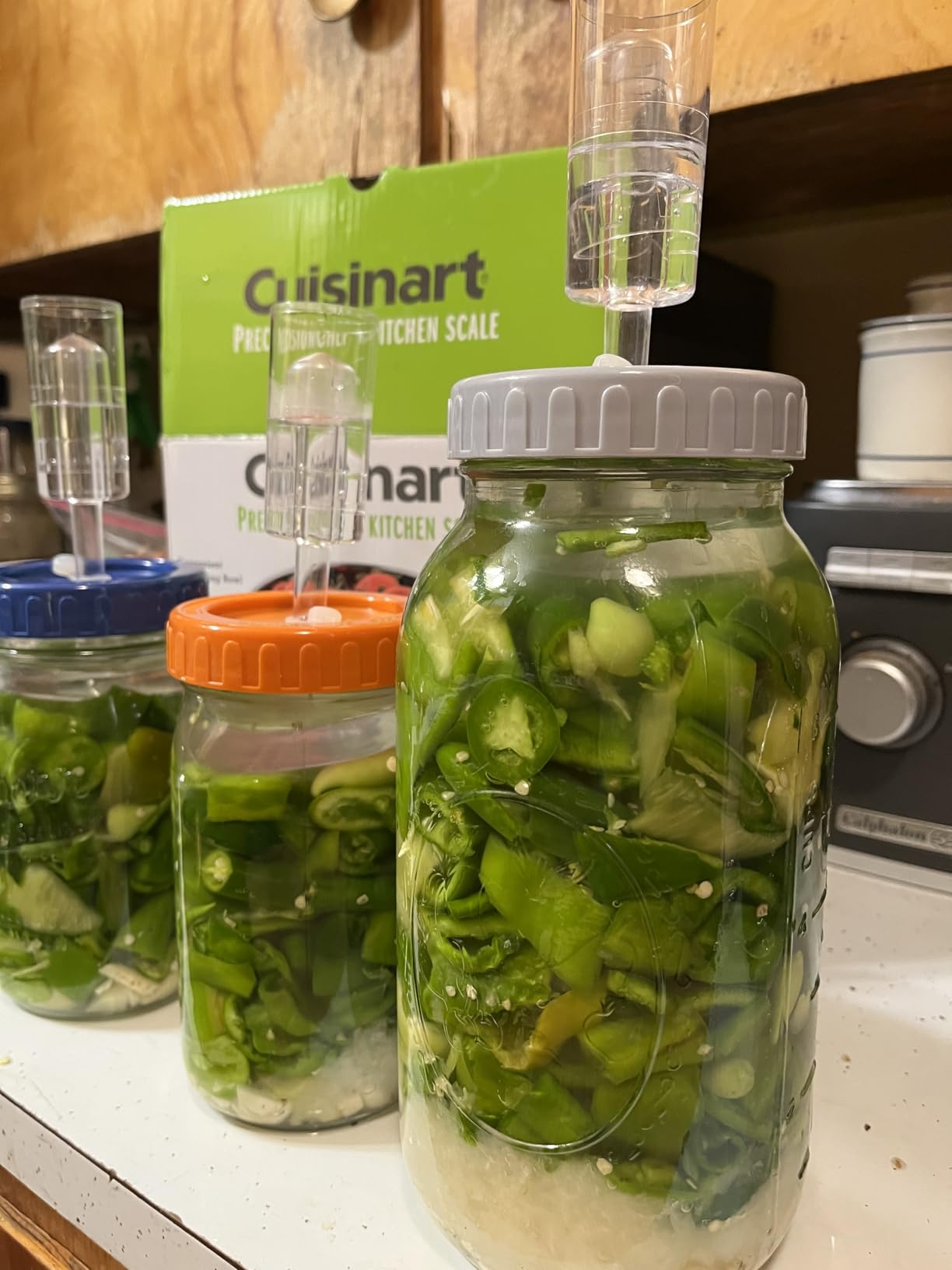 Elementi Fermentation Weight Set of 2 - Easy Grip Glass Weights for Fermenting, Wide Mouth Mason Jars, Soda-Lime Glass for Sauerkraut, Kimchi customer photo 2