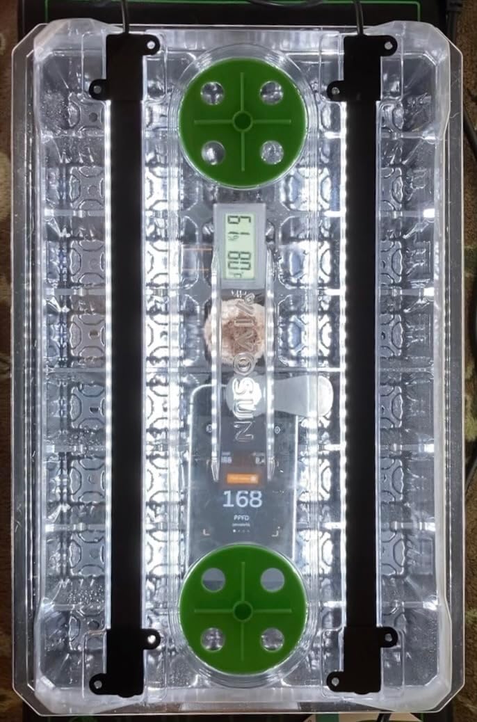VIVOSUN 1-Pack 40-Cell Seed Starter Trays with 1 Set of LED Lights and 10