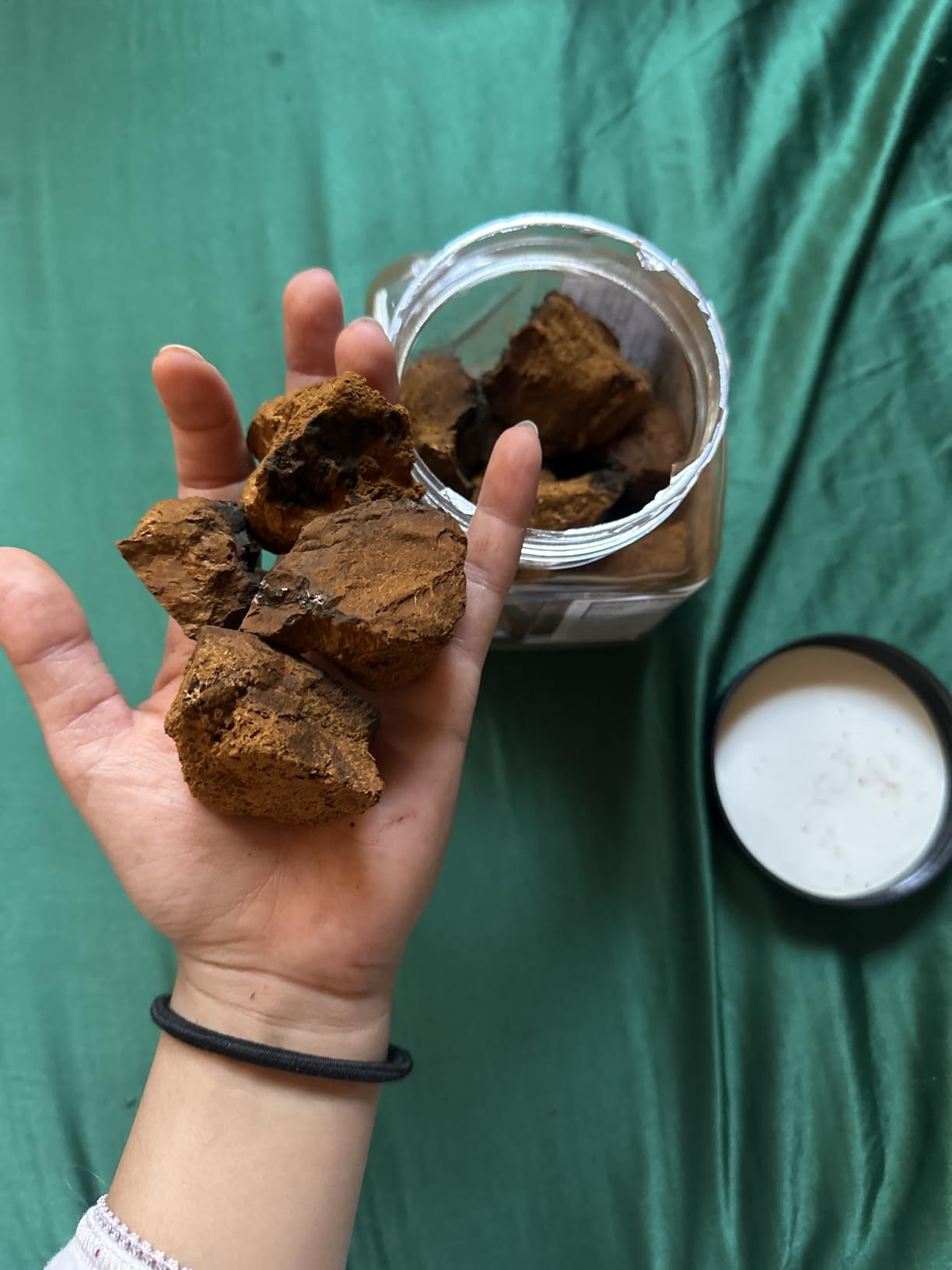 Premium Chaga Mushroom Chunks 7 Oz/199g,Selected Natural Chaga Mushroom Tea,100% Siberian Wild Harvested. customer photo 1