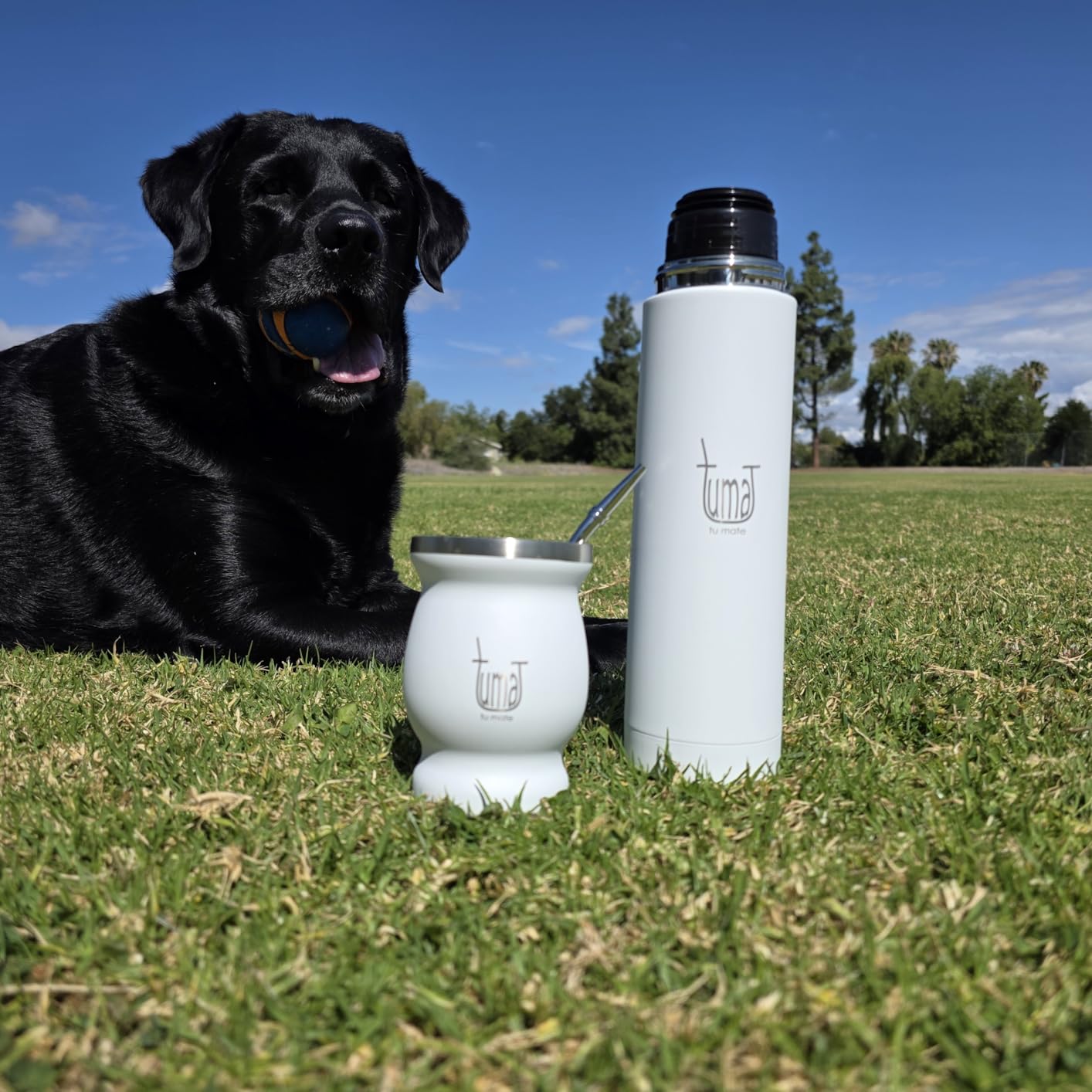 TUMA TU MATE Complete Yerba Mate Kit - Stainless Steel Mate Cup Set, Bombilla (Straw) & 750ml Thermo | Argentine Mate Set + Canvas Bag, Yerbero Container & Car Heater (Black) customer photo 1