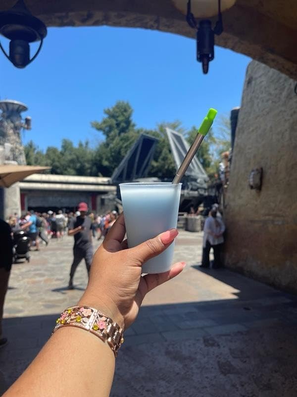 NAIVELY-Metal Reusable Straws, 2 Pack Collapsible Portable Stainless Steel Straws, with Plastic Housing Silicone Tips and Cleaning Brush, Retractable Portable Pocket Drinking Straws customer photo 1