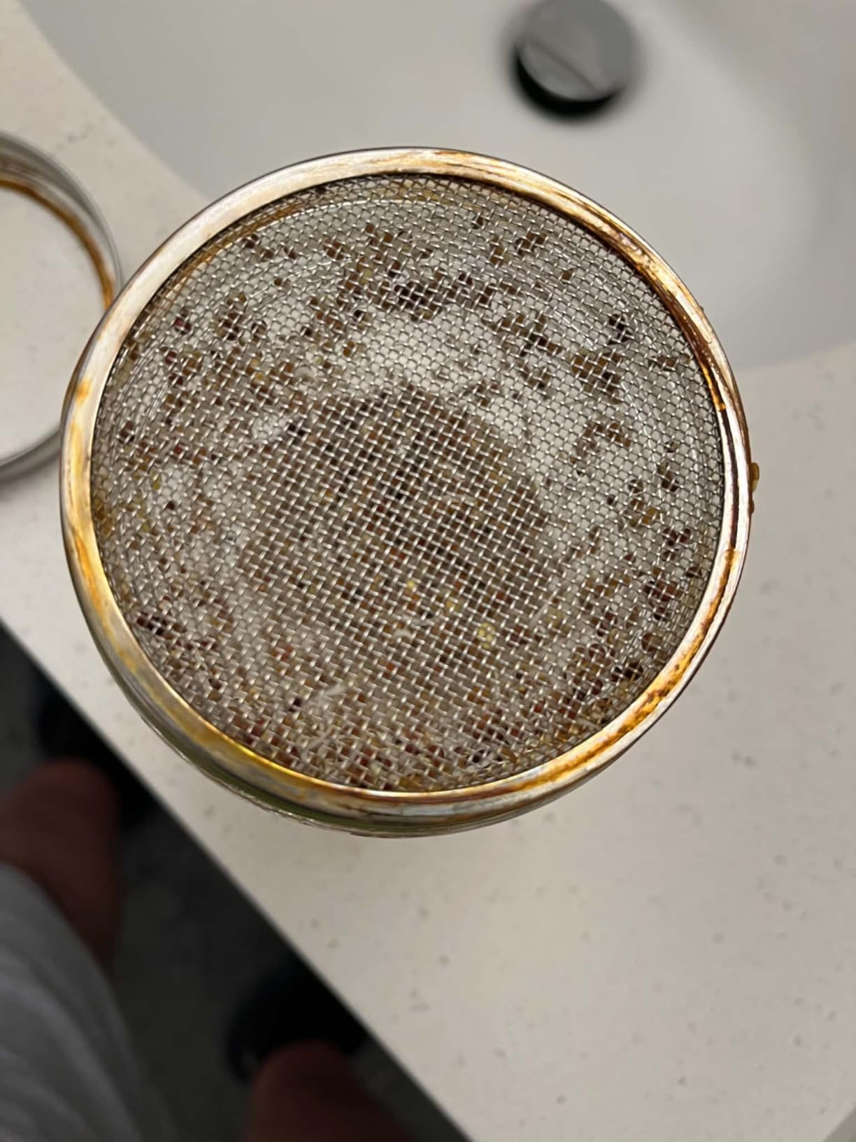 12 Pack Sprouting Lids, 316 Stainless Steel Screen Lid for 86mm Wide Mouth Mason Jar, Alfalfa, Broccoli Mesh Lids (wide mouth 12 PCS) customer photo 1