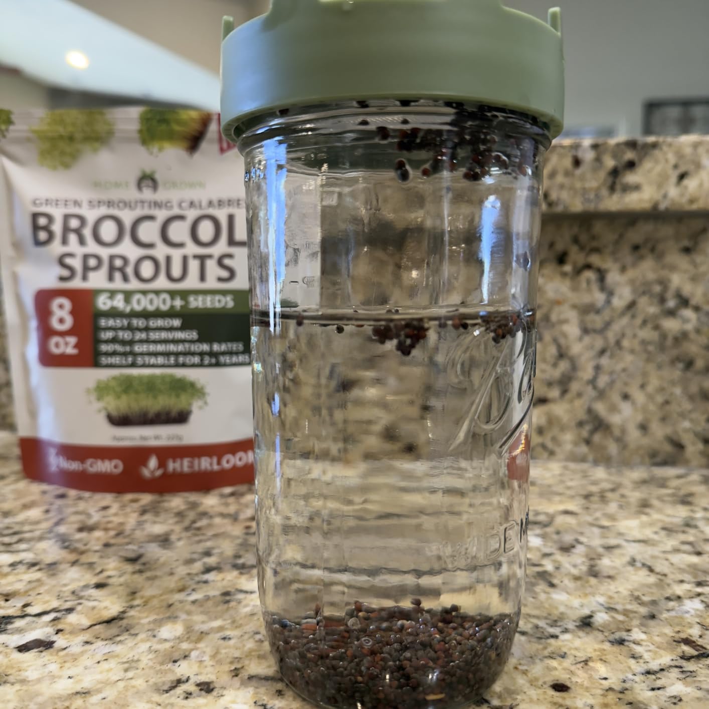 Elementi Sprouting Lids for Wide Mouth Mason Jars (Set of 2), Sprouting Jar Kit for Organic Sprouts, Alfalfa & Mung Bean Sprouts Grow Kit, 316 Stainless Steel Mesh Screen Strainer Lid (Mint) customer photo 1