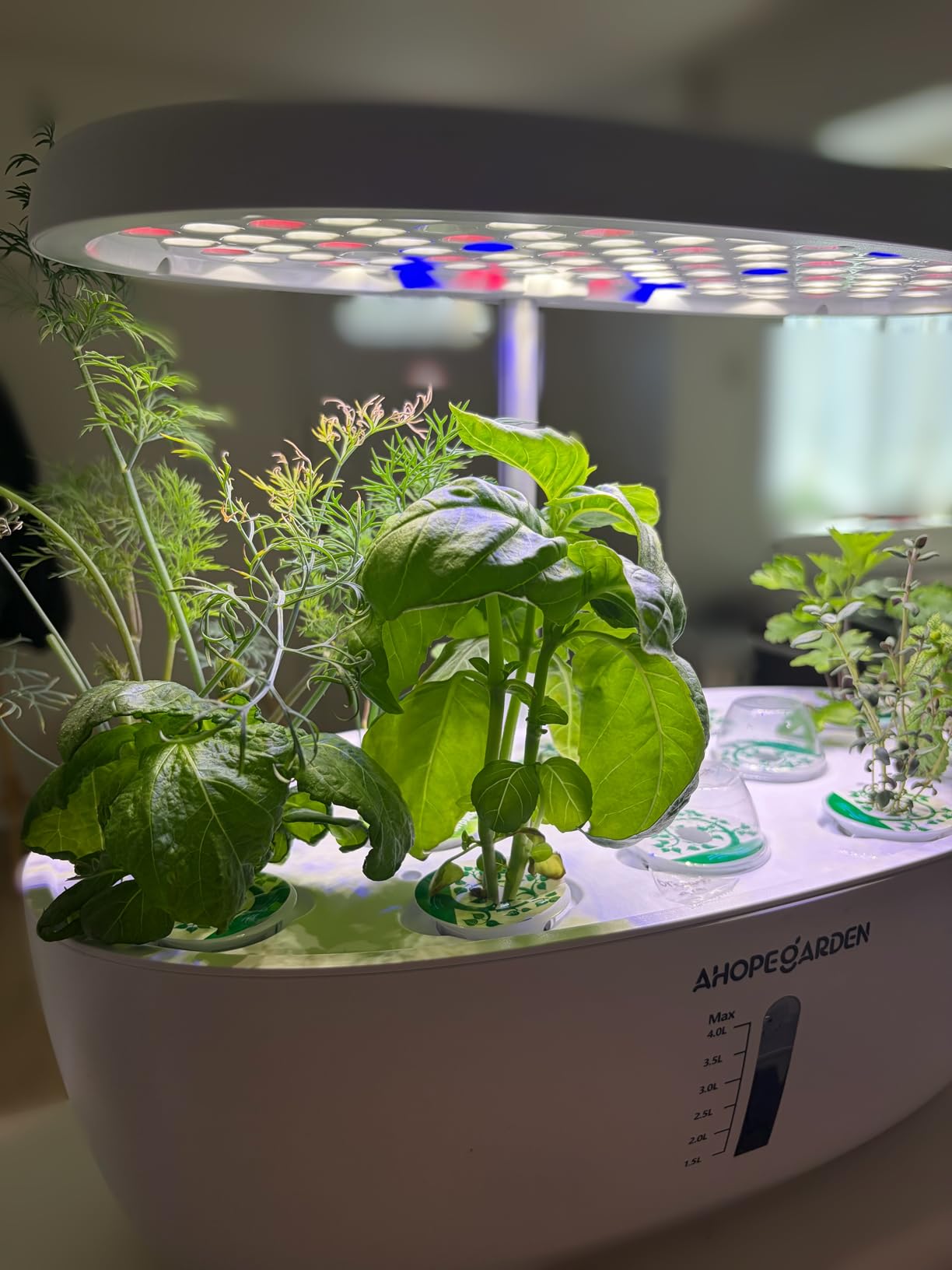 Ahopegarden Hydroponics Growing System: 12 Pods Indoor Herb Garden with LED | Plant Germination Kit with LED Grow Light, Countertop Herb Garden, Hydrophonic Planter Grower Harvest Vegetables Lettuce customer photo 1