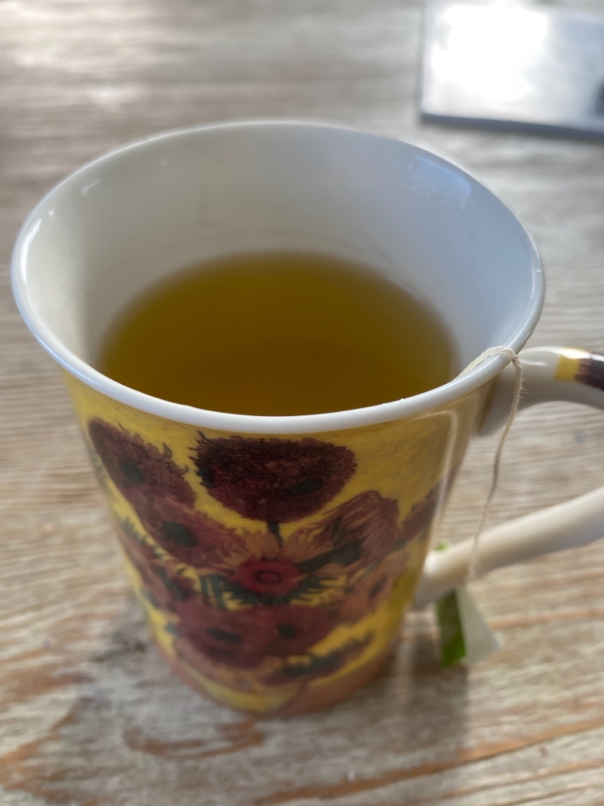 Adanim Bio Organic Turmeric Ginger Herbal Tea Bags | Caffeine Free Pure Herbal Blend with Black Pepper | USDA Organic, Vegan & Kosher | 20 Individually Wrapped Tea Bags customer photo 1