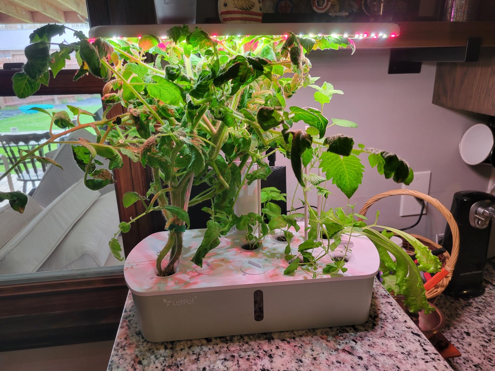 LetPot LPH-Air Hydroponics Growing System Kits, APP & WiFi Controlled Smart Indoor Garden with Adjustable 24W Grow Light Full Spectrum, 10 Pods Planter Indoor Gardening for Gifts, Kitchen, Vegetable | APP & WiFi Controlled, Adjustable 24W Grow Light Full Spectrum, Indoor Gardening for Gifts, Kitchen, Vegetable customer photo 1