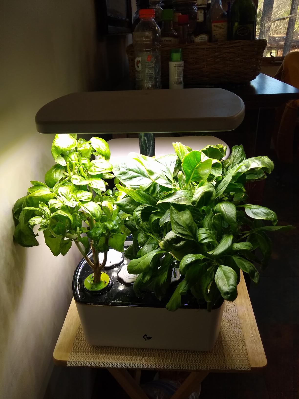 AeroGarden Harvest Lite, Soil-Free Indoor Hydroponic Garden with LED Grow Light customer photo 2
