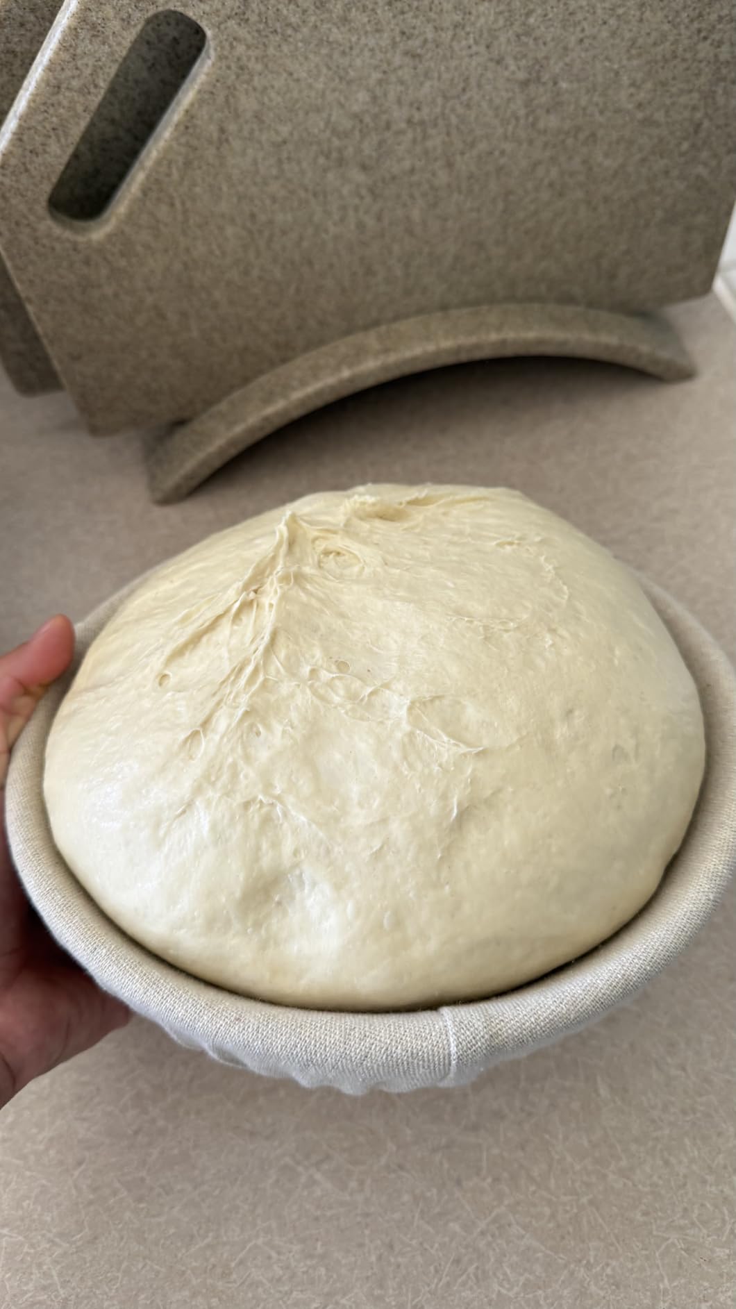 Sourdough Starter Kit, Banneton Bread Proofing Baskets Set, Sourdough Bread Baking Supplies Making Tools with Dough Scraper, Whisk, Bread Lame, Recipe customer photo 2