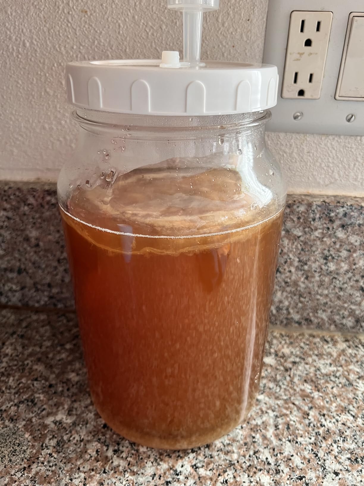 2 Gallon Glass Jar with Airtight Lid, Wide Mouth Wine Making Supplies with 2 Airlocks(7600ML), Pickle Jar, Gallon Fermentation Jar with Clear Scale Marks for Home Brew, Kombucha, Cider, Beer customer photo 1