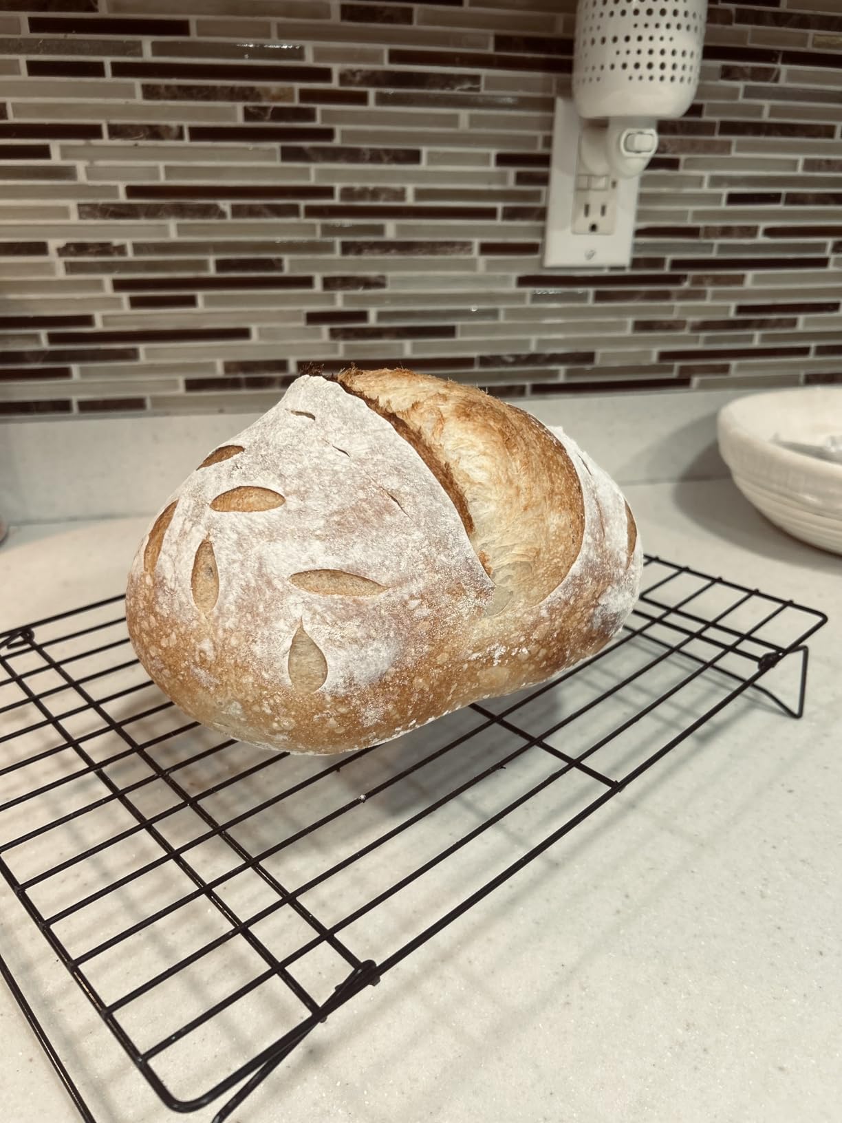 Complete Sourdough Starter Kit, Sourdough Bread Baking Supplies, Banneton Bread Proofing Basket with Sourdough Starter Jar, 9inch Round Bread Proofing Basket, for Bread Baking customer photo 1