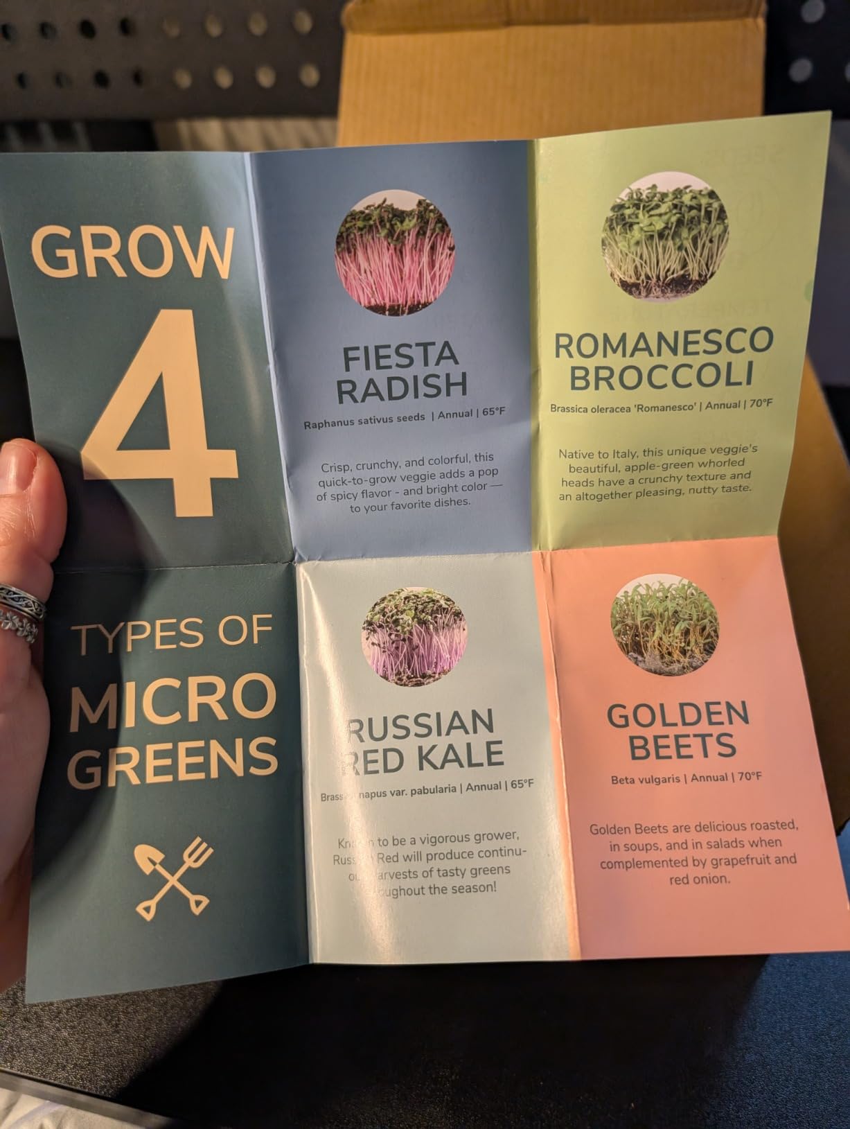 Garden Republic Microgreens Growing Kit - Micro Greens All-in-One Set with Non-GMO Seeds, Growing Trays and Planters - Microgreen Seed Tray and Soil Disks Set - Sprout Growing Kit customer photo 2