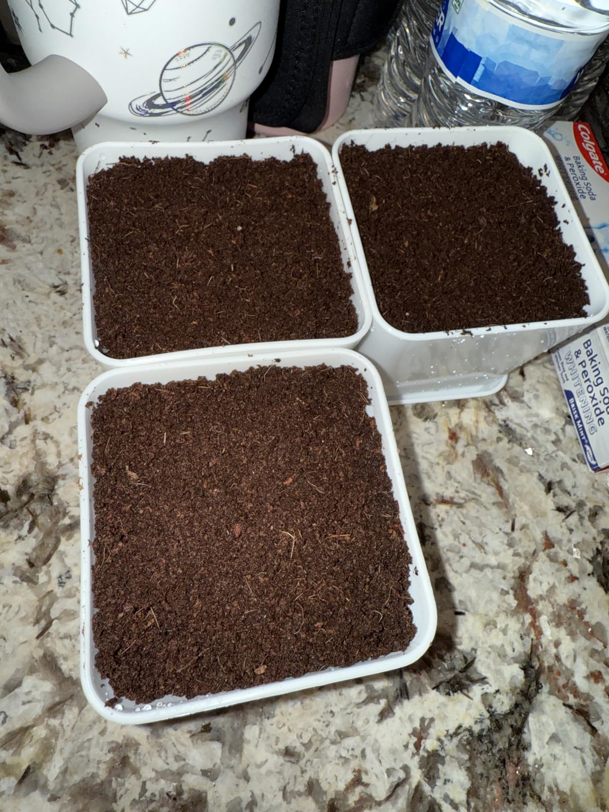 Indoor Herb Garden Kit - 10 Non-GMO Herb Seeds with Soil, Pots & Moisture Meter - Easy Windowsill Gardening Starter Set customer photo 2