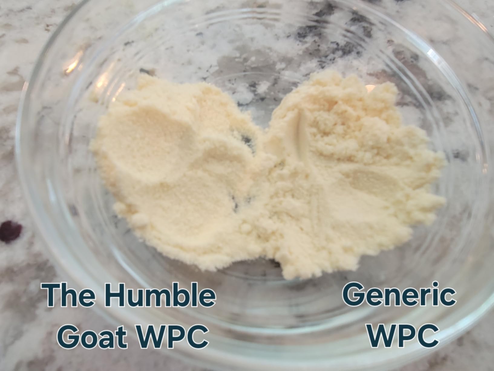 Grass Fed Whey Protein Powder Vanilla 1.5 lb - Made from Goat Milk, Easy to Digest, Non-GMO, Gluten-Free customer photo 1