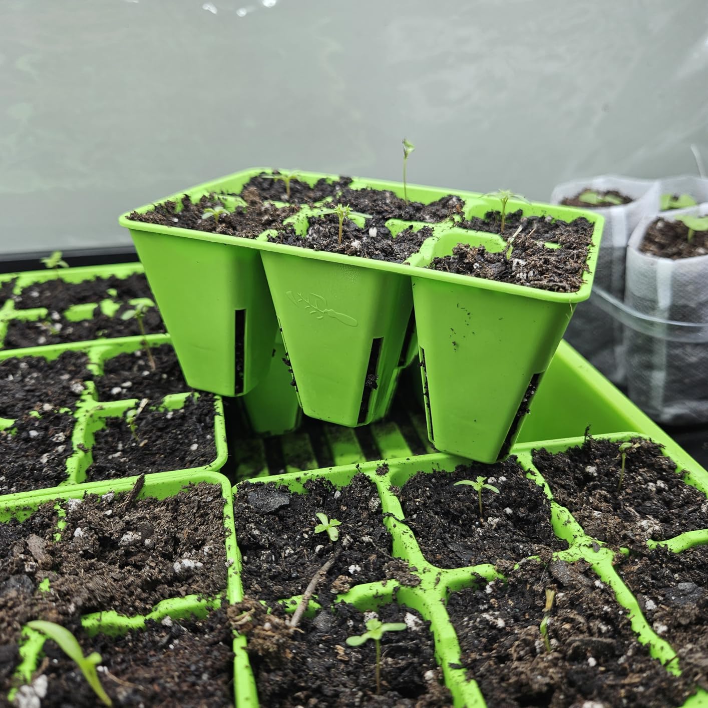 Bootstrap Farmer Countertop Seed Starter Kit, Reusable 1010 Tray Bundle with Inserts and Humidity Dome customer photo 1