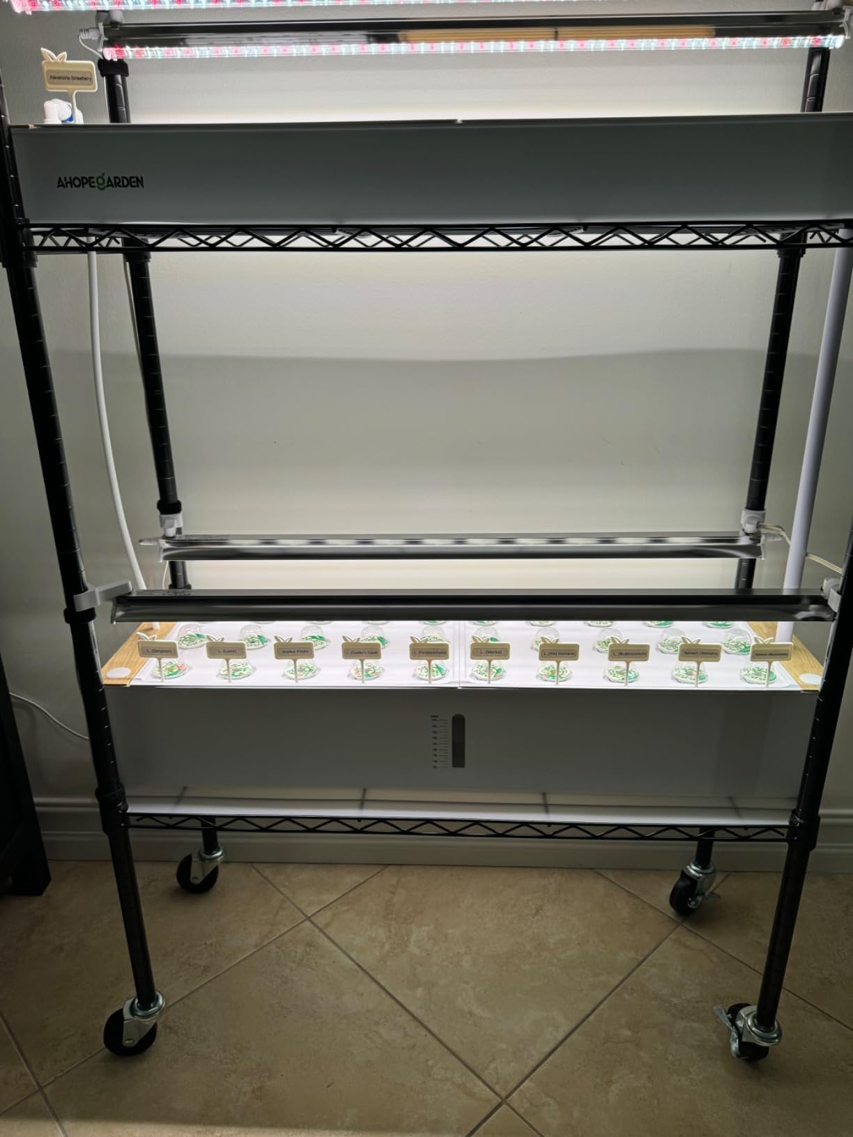 Ahopegarden Hydroponics Growing System Indoor Garden, 44 Pods Plant Herb Garden Germination Kit with LED Grow Light, 20L Double-Layer customer photo 2