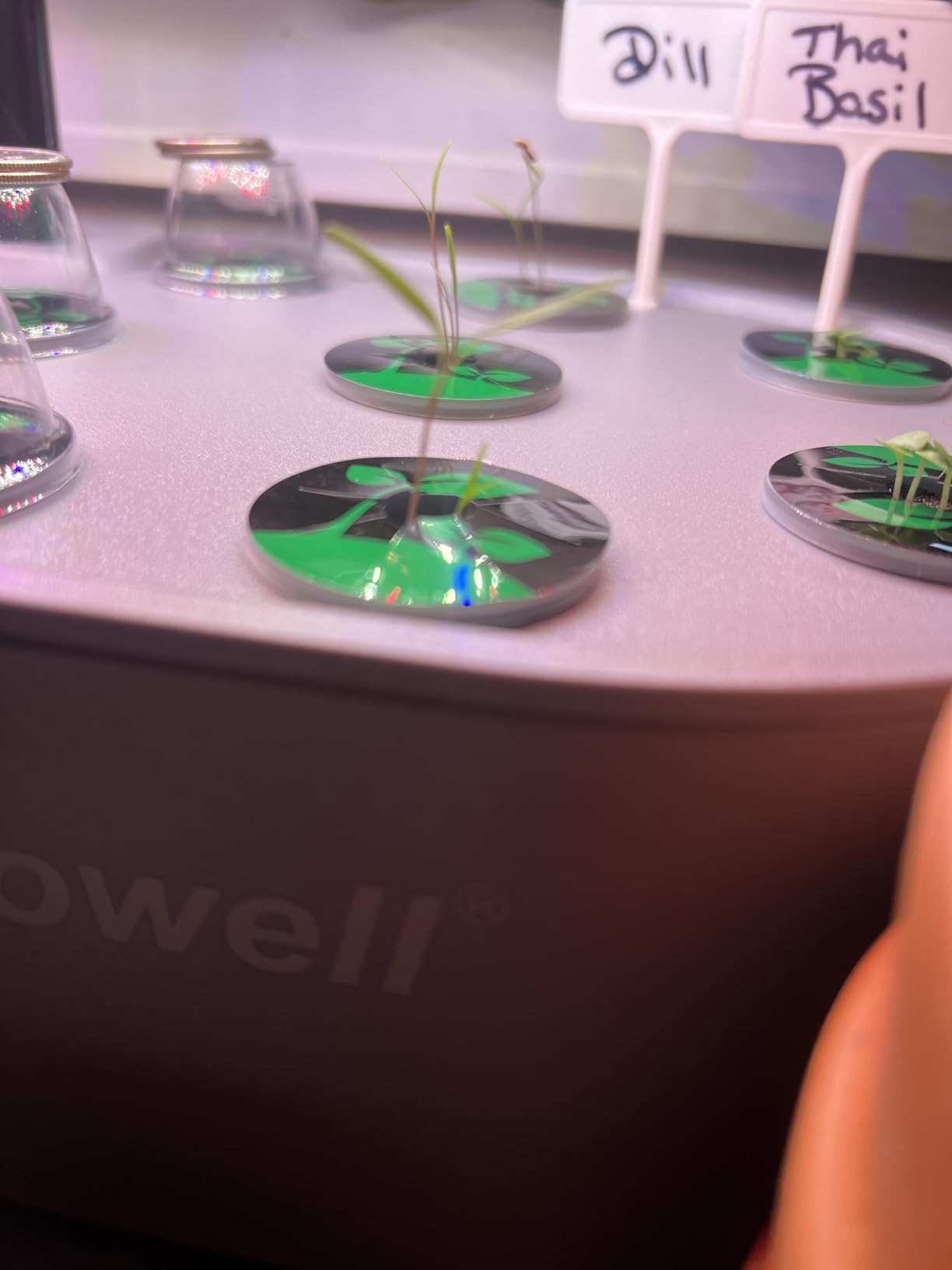 Growell Hydroponics Growing System Kit, 16 Pods Indoor Garden with 28W Full Spectrum LED Grow Light customer photo 1