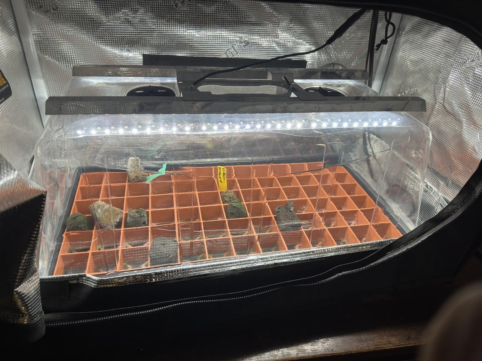1020 Plant Tray with Tall 7.3