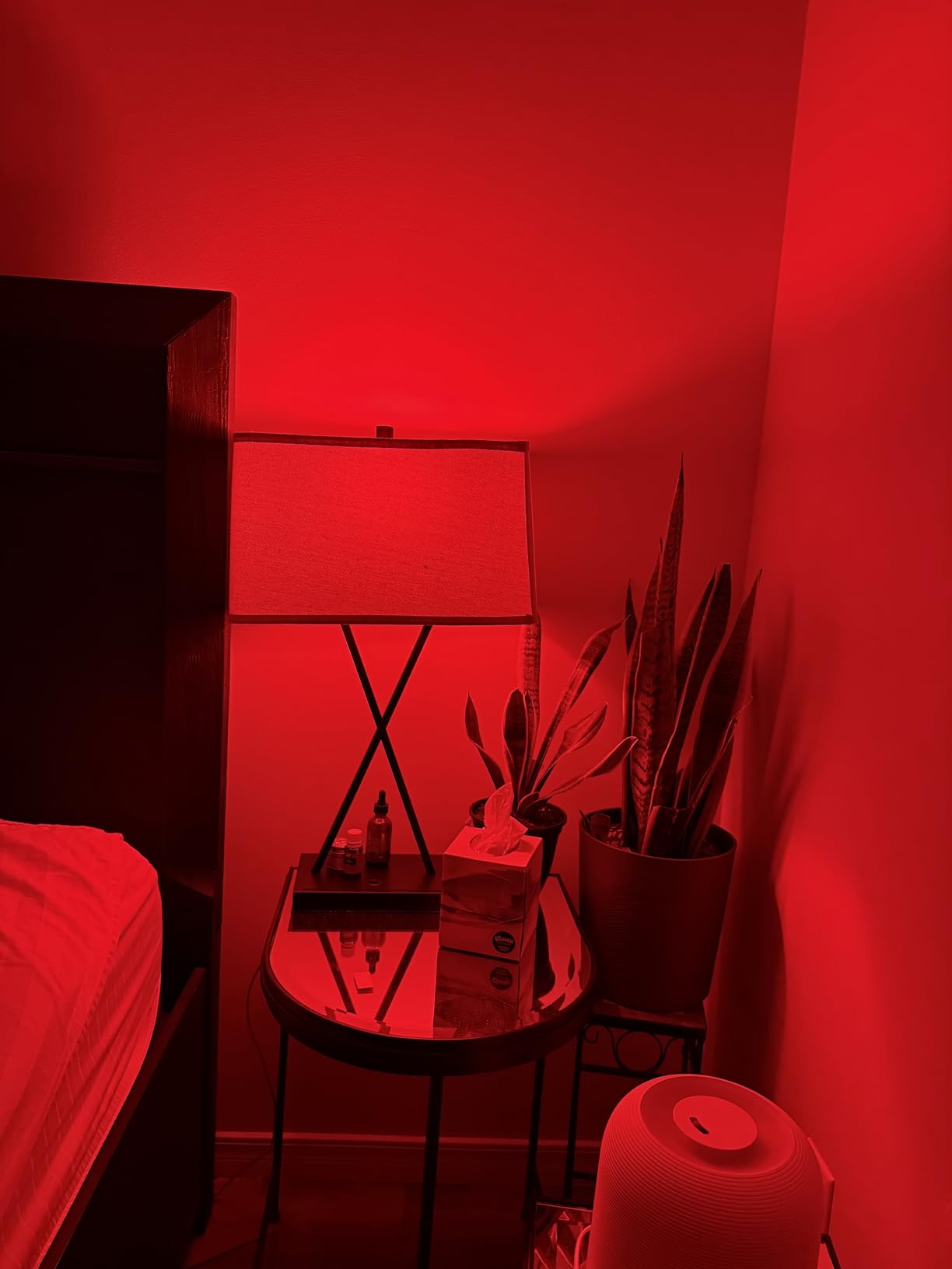Neporal Red Light Bulbs for Sleep 9W, 100% Blue Light Blocking Red Night Light, 625nm LED Light Bulb for Melatonin Promoting, A19 60W Equivalent Dim Light Bulbs for Bedroom, Baby Nursery, 1 Pack customer photo 2
