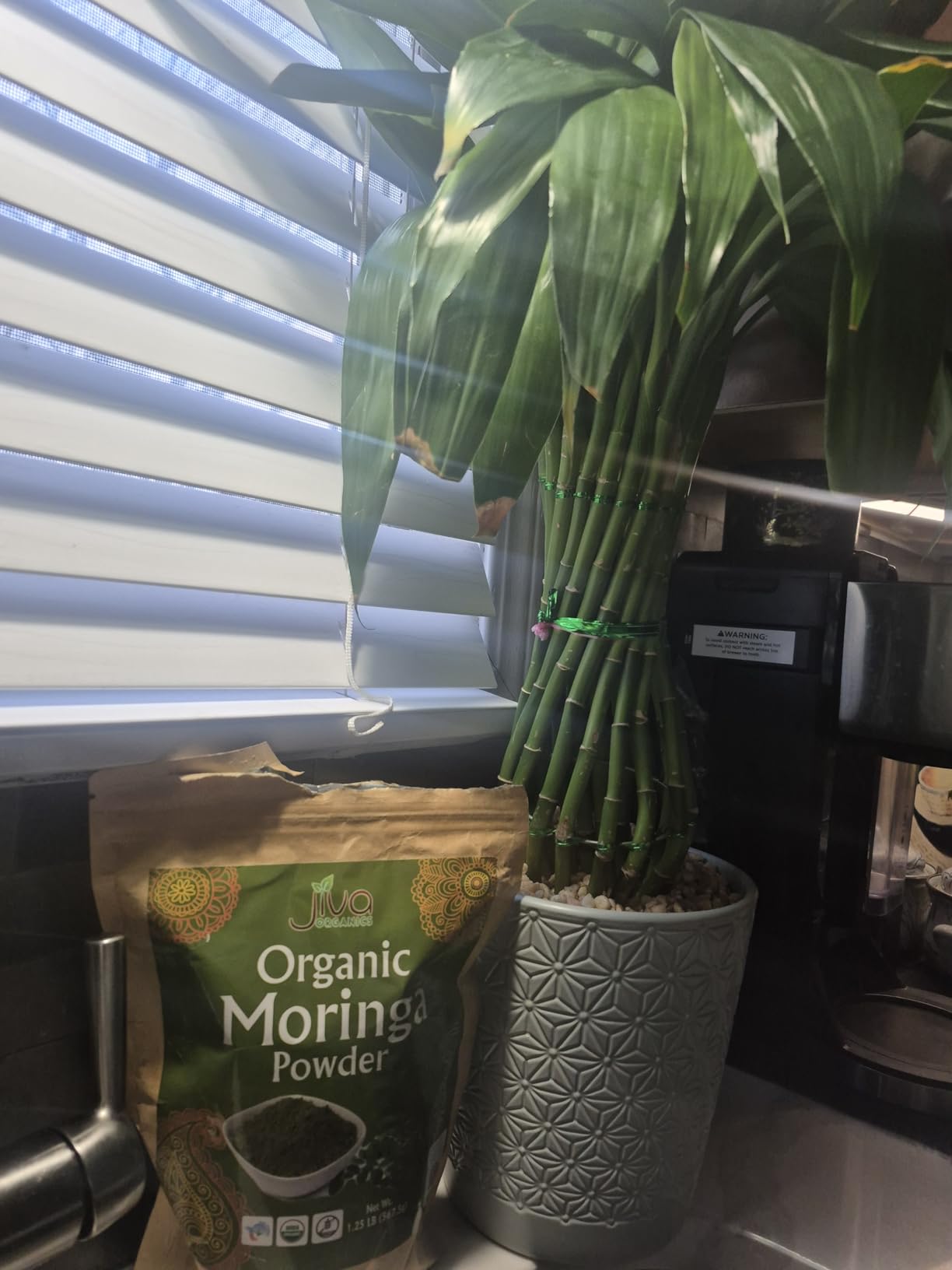 Jiva Organics Moringa Powder 1.25LB Bulk Bag - Moringa Oleifera Leaf Powder - Great for Hair, Rich in Immune Vitamin, Great Superfoods for Moringa Tea, Moringa Drink, India Grown, Vegan customer photo 1