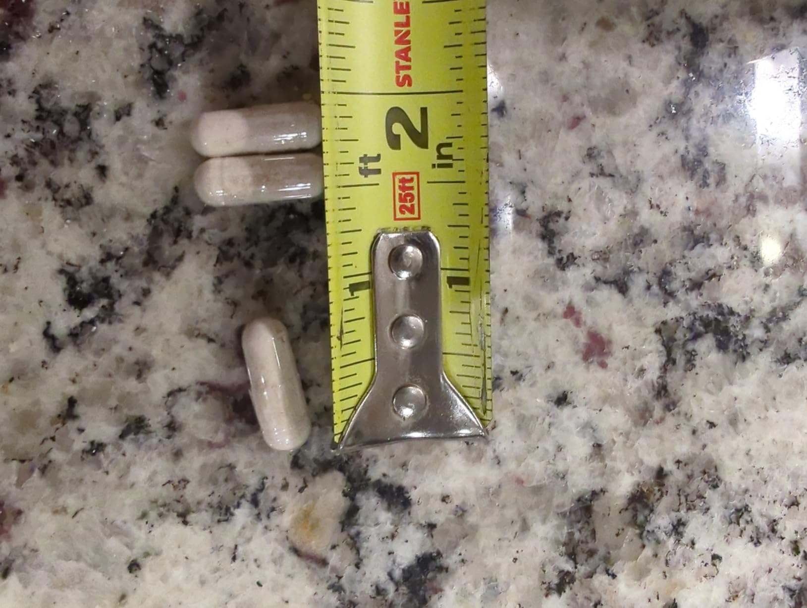 Organic Saccharomyces Boulardii - 10 Billion CFU - Clinically Validated CNCM I-1079 Probiotic Strain - Gut, Digestion & Healthy Bowel Support - First Organic Form of S. Boulardii Probiotic - 60 Count customer photo 1