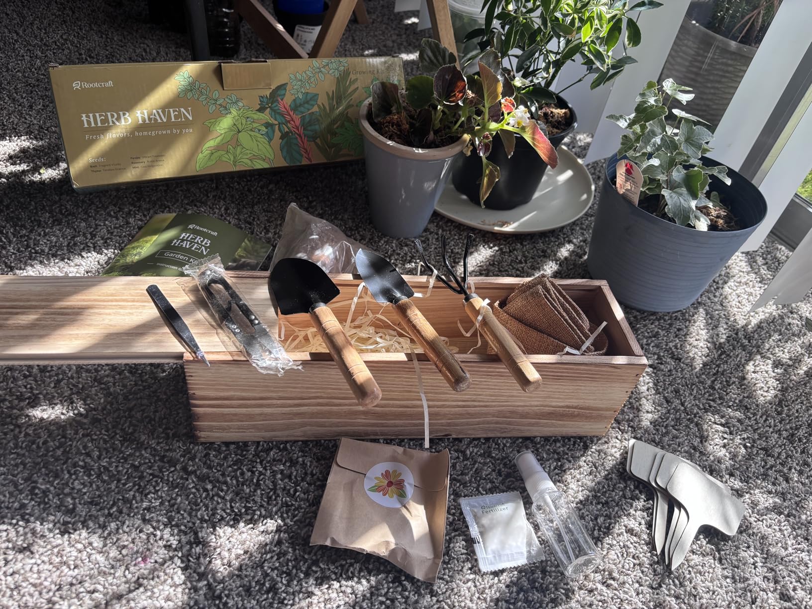5 Herb Garden Planter Indoor with Wooden Box, Home Kitchen Seed Starter Kit Including Basil, Thyme, Parsley, Rosemary, Mint customer photo 1