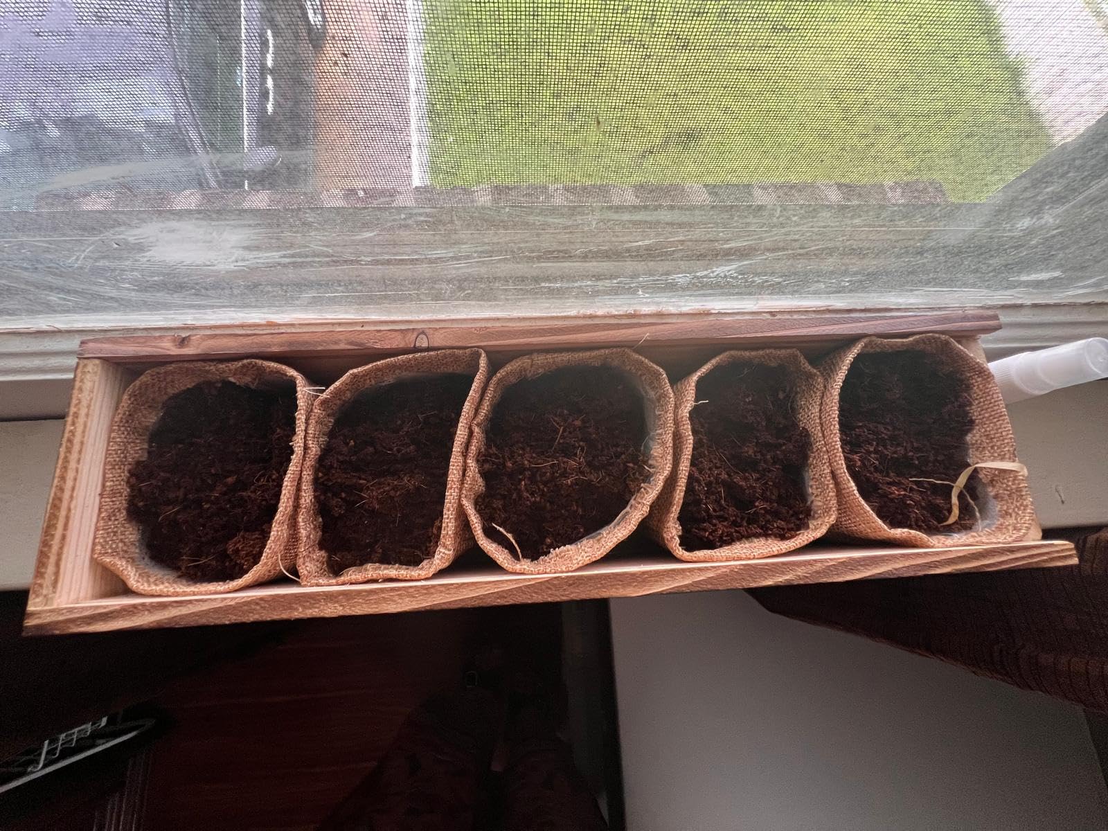 5 Herb Garden Planter Indoor with Wooden Box, Home Kitchen Seed Starter Kit Including Basil, Thyme, Parsley, Rosemary, Mint customer photo 2