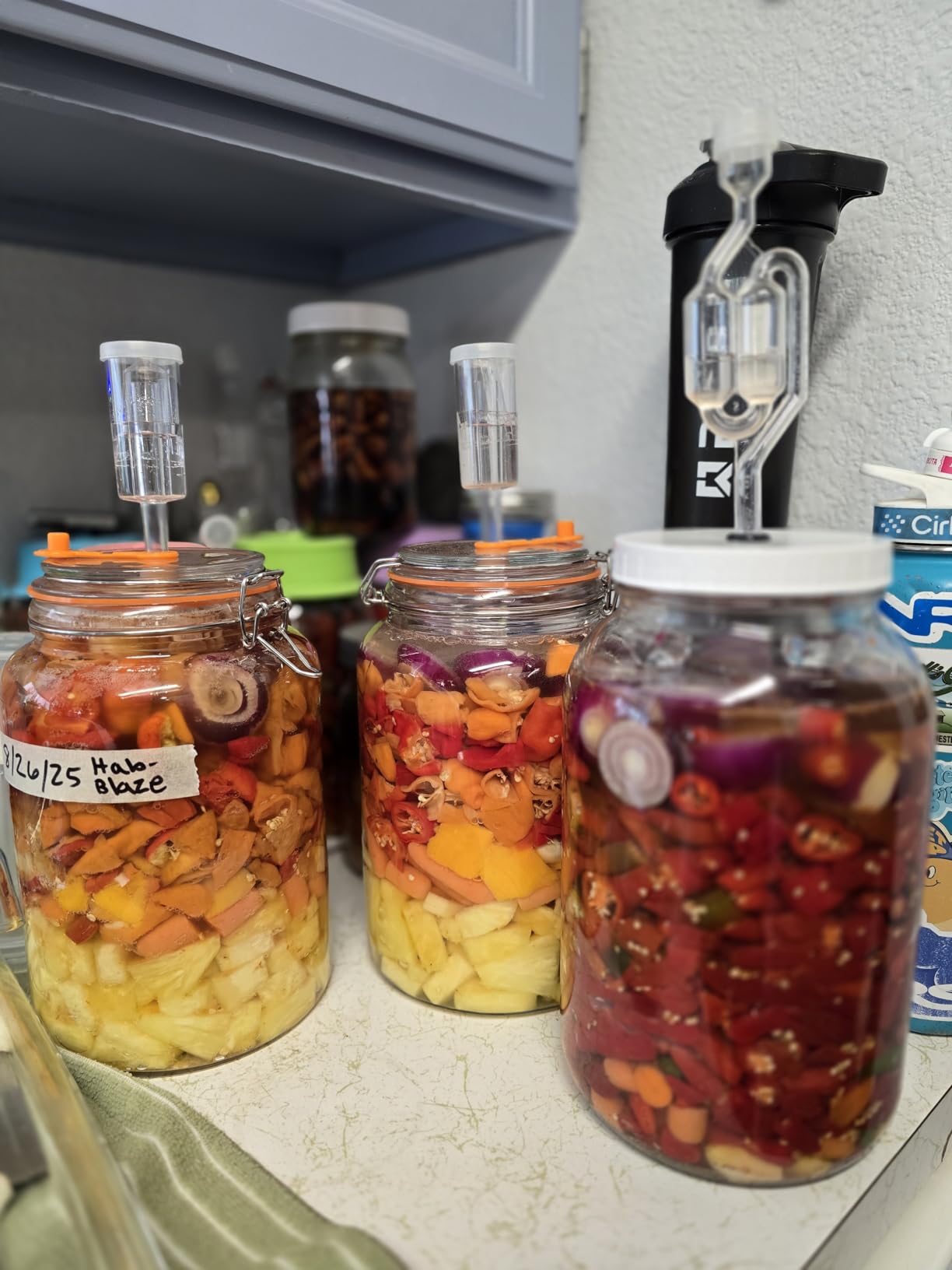 1 Gallon Fermentation Jars with Weights & Airlocks, Fermenting Kit for Sauerkraut, Kimchi, Kombucha and Pickles, 2 Pack customer photo 2