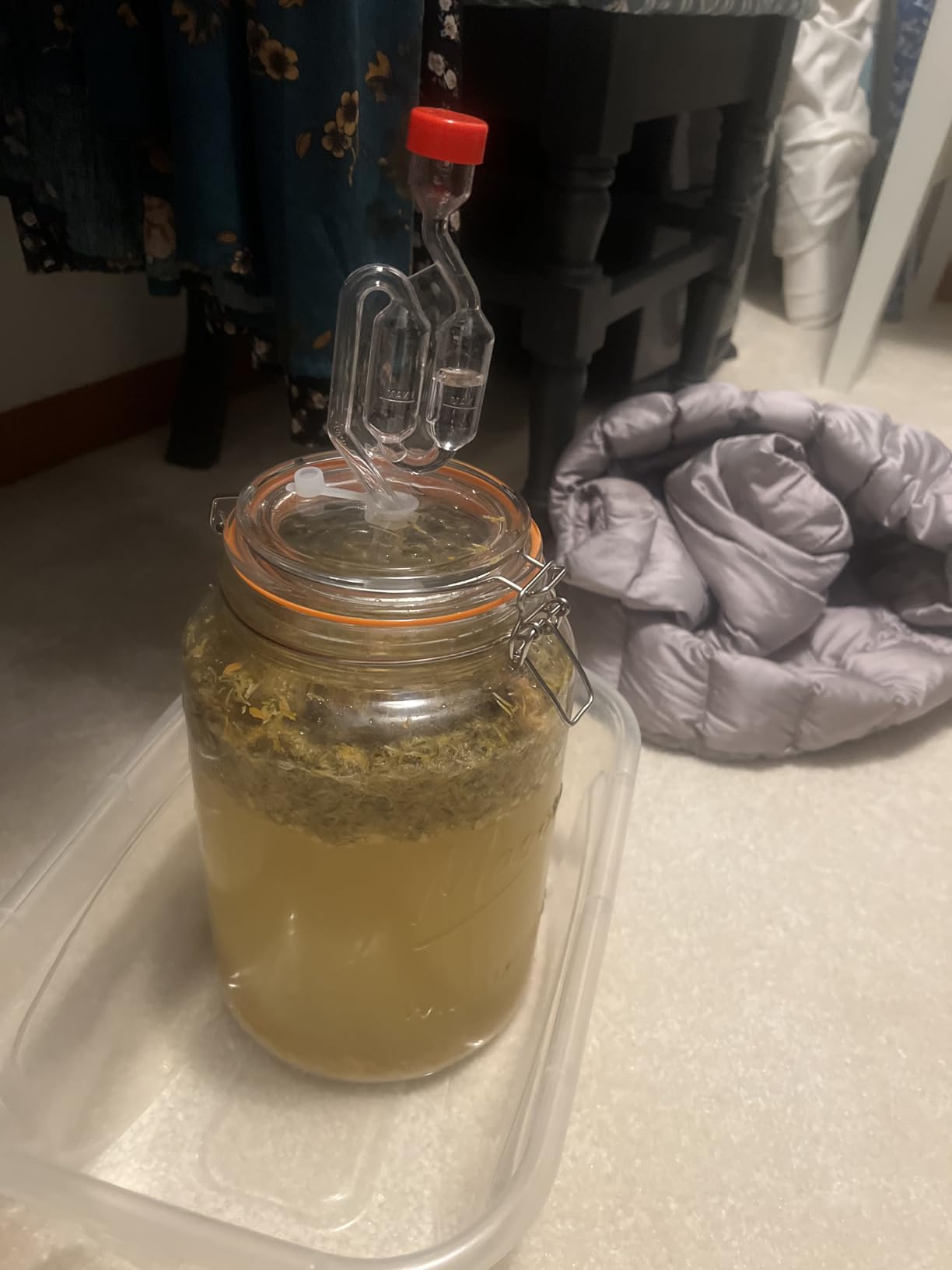 kitchentoolz 1-Gallon Mason Glass Fermenting Jar with Airlock Lid - Wide Mouth with Ounce & Milliliter Markings for Mead, Kombucha, Beer, Wine & Pickling customer photo 1