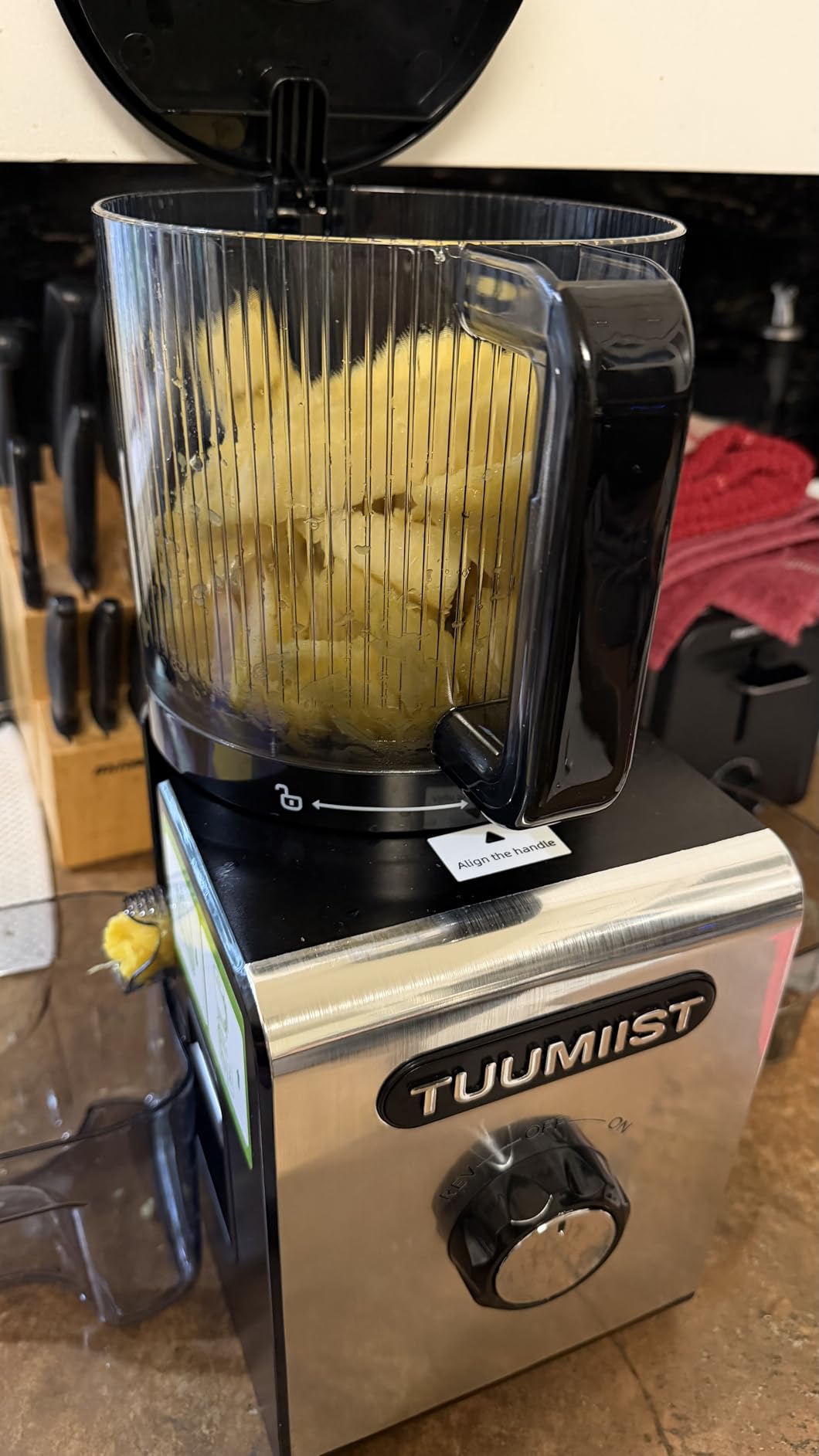 TUUMIIST 3-in-1 Juicer Machines, Makes Juice & Sorbet & Nut Milk customer photo 2
