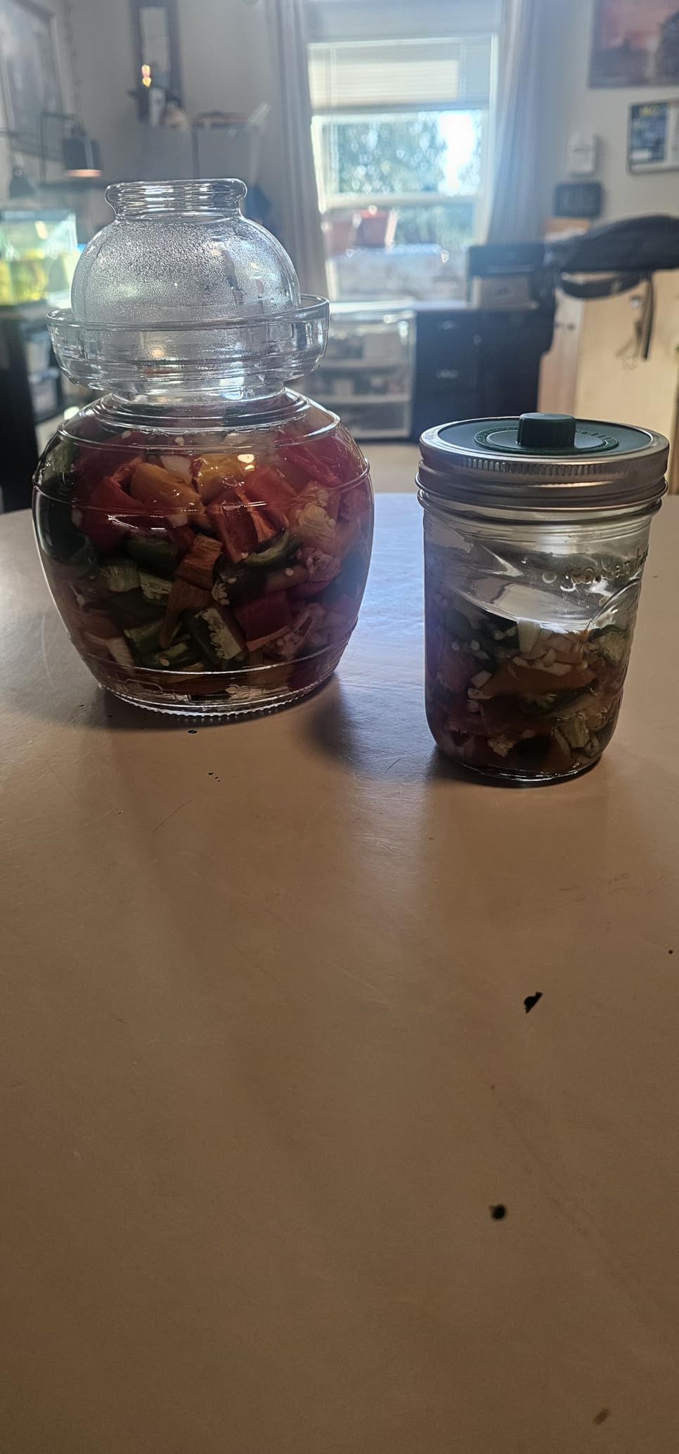 Mfacoy Airlock Fermentation Lids for Wide Mouth Mason Jars, Fermenter Caps, Fermentation Kit for Sauerkraut & Pickle Kit, One Way Waterless Airlock Valve - BPA-Free (Jar Not Included) customer photo 2