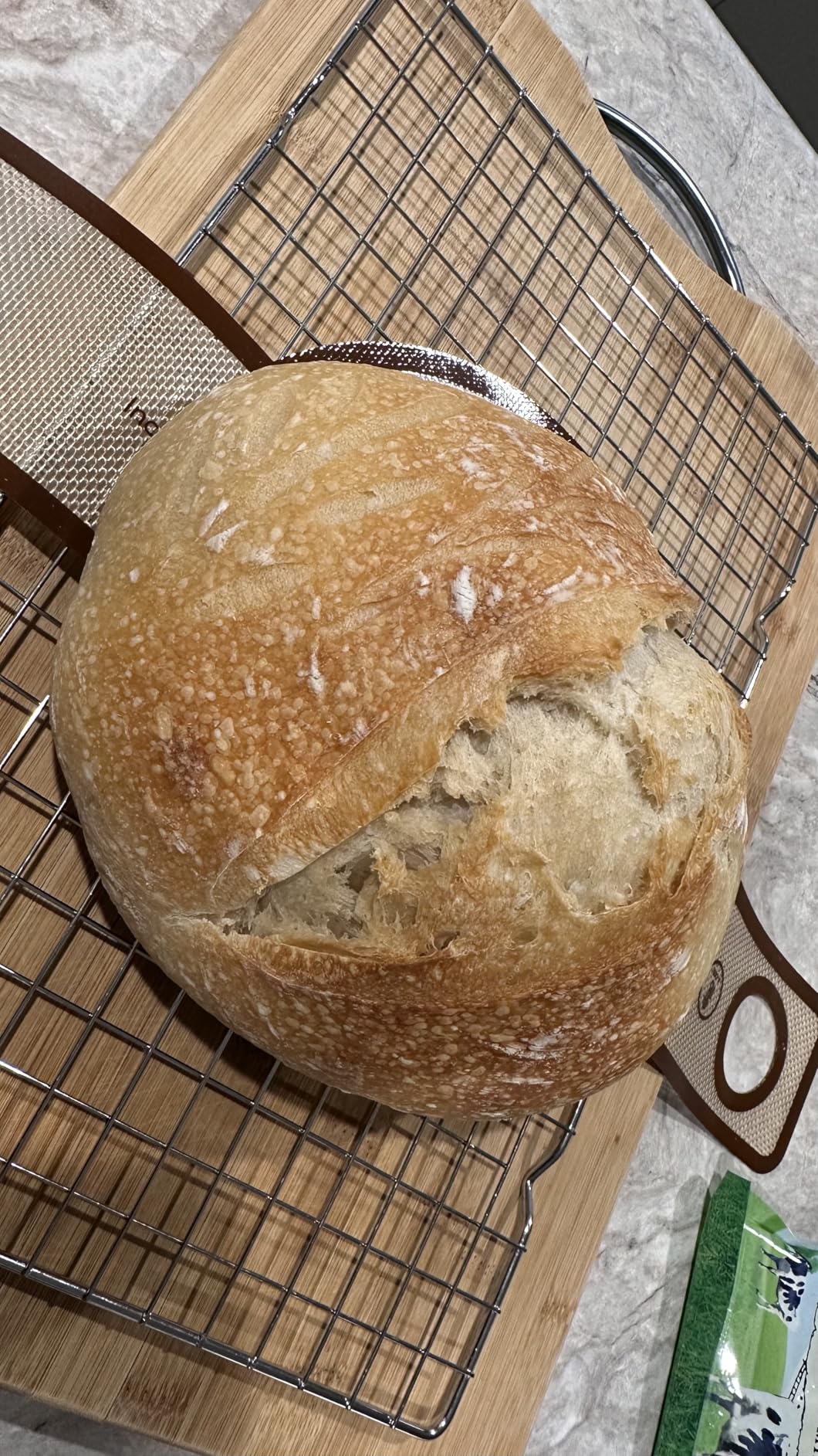 Sourdough Starter Kit with 10