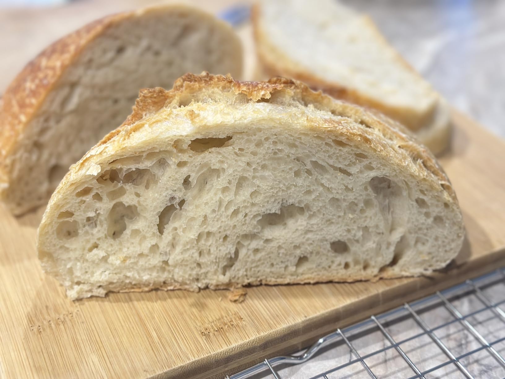Sourdough Starter Kit with 10
