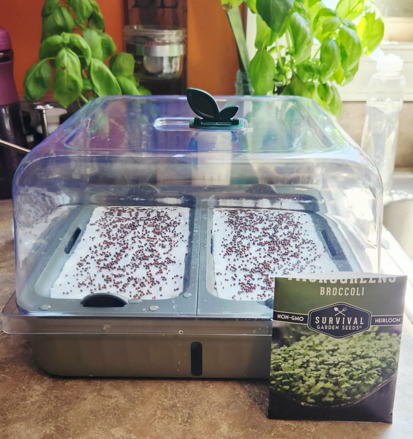 Self-Watering Microgreens Growing Kit with 20 Capillary Grow Mats and Humidity Domes, 4 Trays for Growing Multiple Micro Greens and Sprouts, Hydroponic Growing System with Water Level Indicator customer photo 2