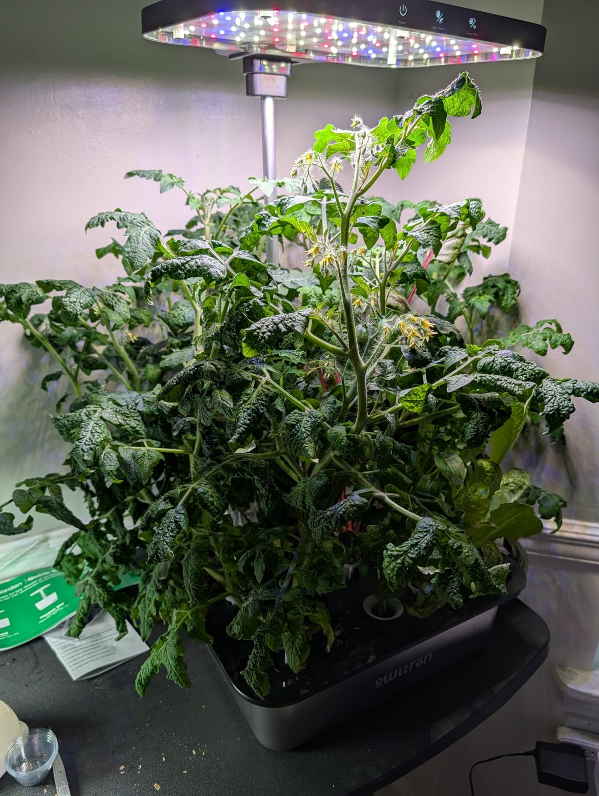 owltron Smart Hydroponics Growing System Kit, 15 Pods Indoor Herb Garden with 36W LED Grow Light & APP Control customer photo 2