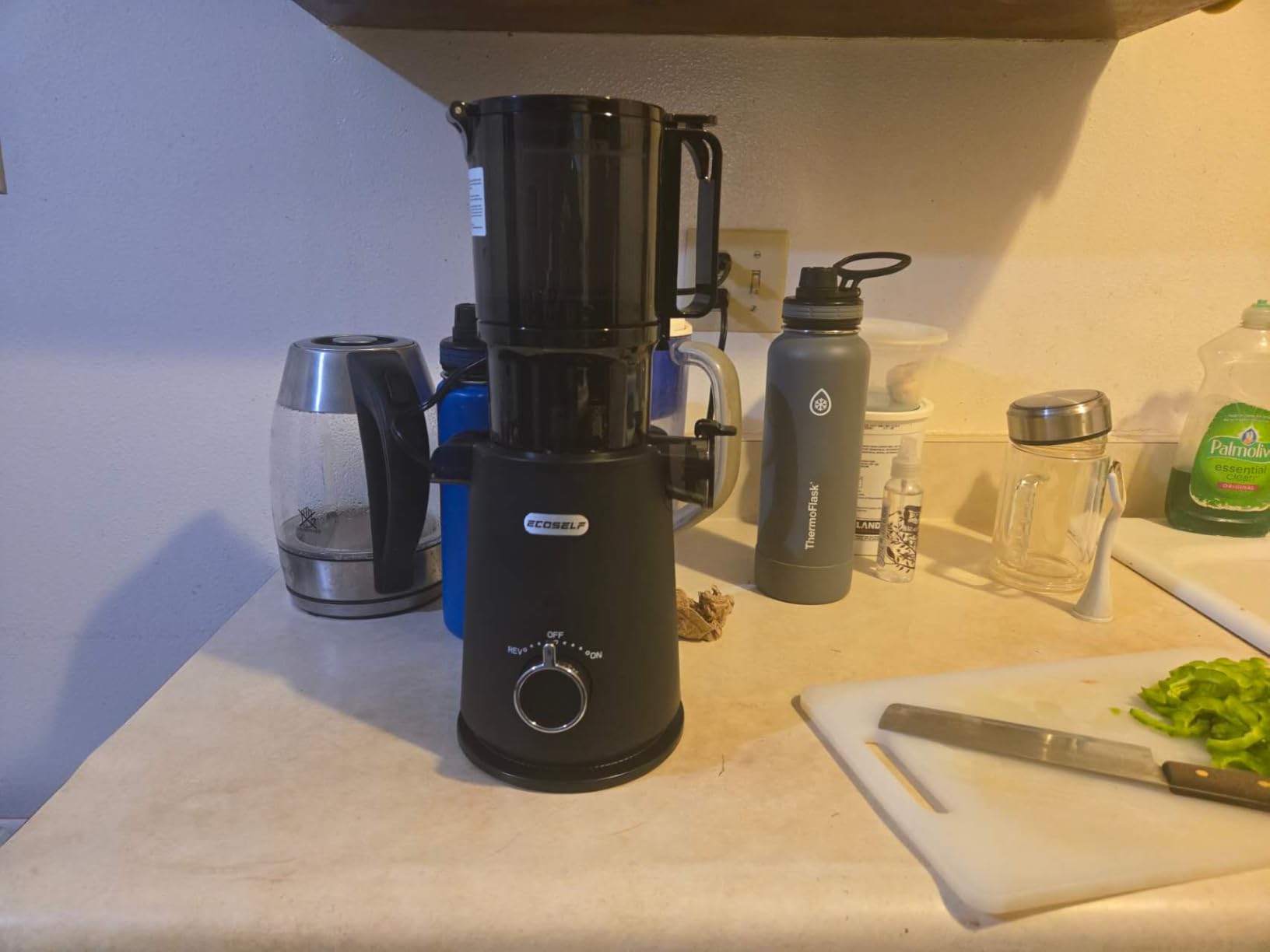 ECOSELF Cold Press Juicer - Wide Mouth Hopper for Fruits & Vegetables & Leafy Greens - Juicer Machines with Self Feeding - Hands-Free Design - Juice Extractor Machine Easy to Clean With Brush customer photo 1