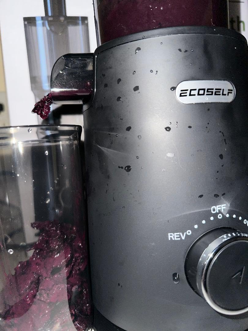 ECOSELF Cold Press Juicer - Wide Mouth Hopper for Fruits & Vegetables & Leafy Greens - Juicer Machines with Self Feeding - Hands-Free Design - Juice Extractor Machine Easy to Clean With Brush customer photo 2