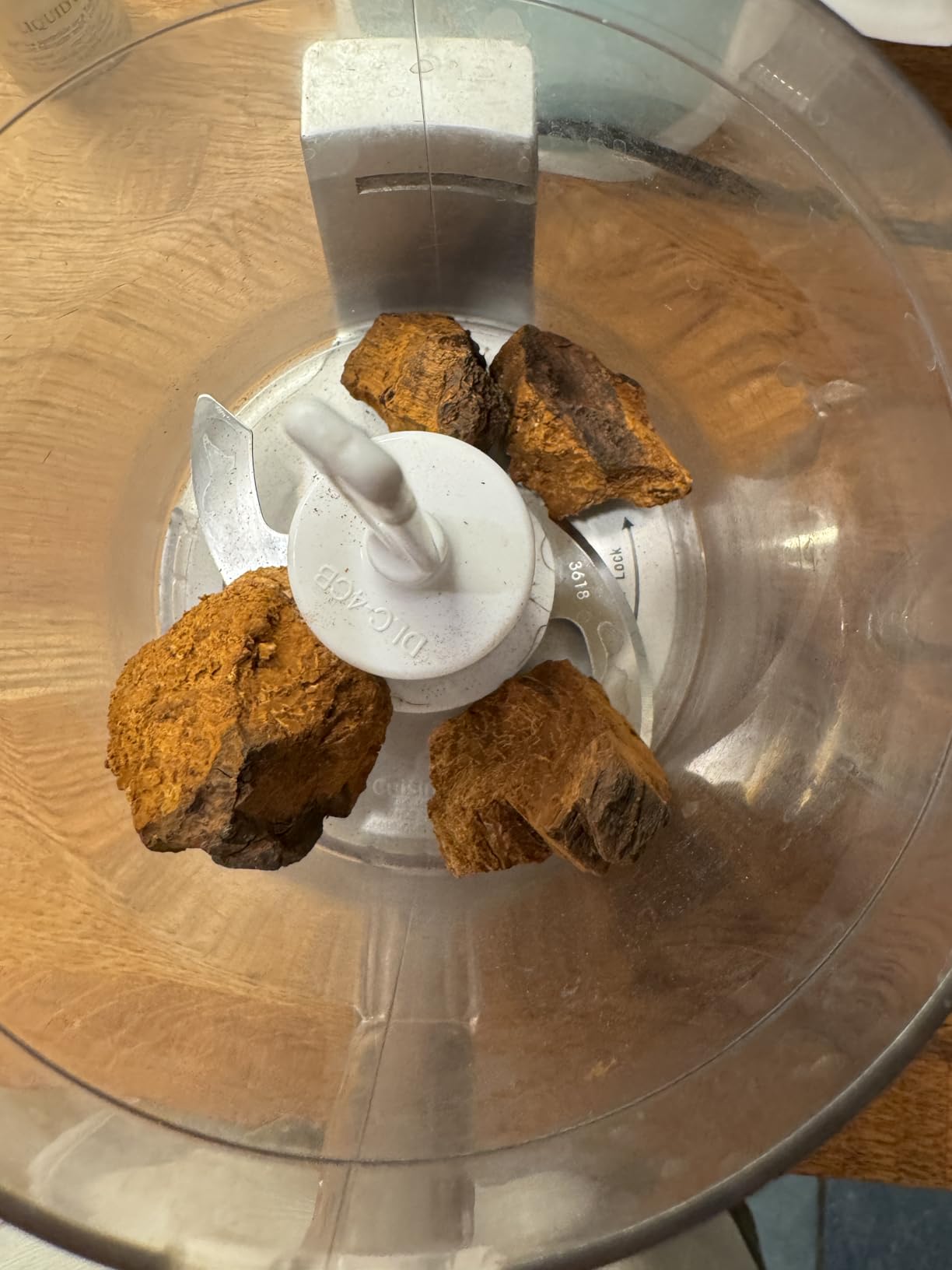 Chaga Mushroom Chunks - 8 Ounce, 100% Wild Harvested with Black Top Crust, Premium Raw Chaga Tea Chunks - Antioxidants, Focus, Healthy Drinks customer photo 1