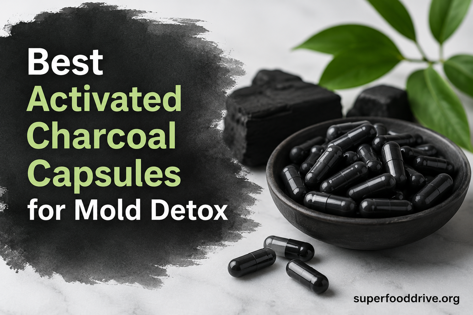 Best Activated Charcoal Capsules for Mold Detox