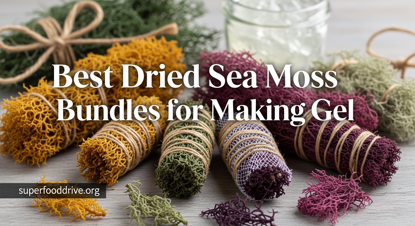 Best Dried Sea Moss Bundles for Making Gel