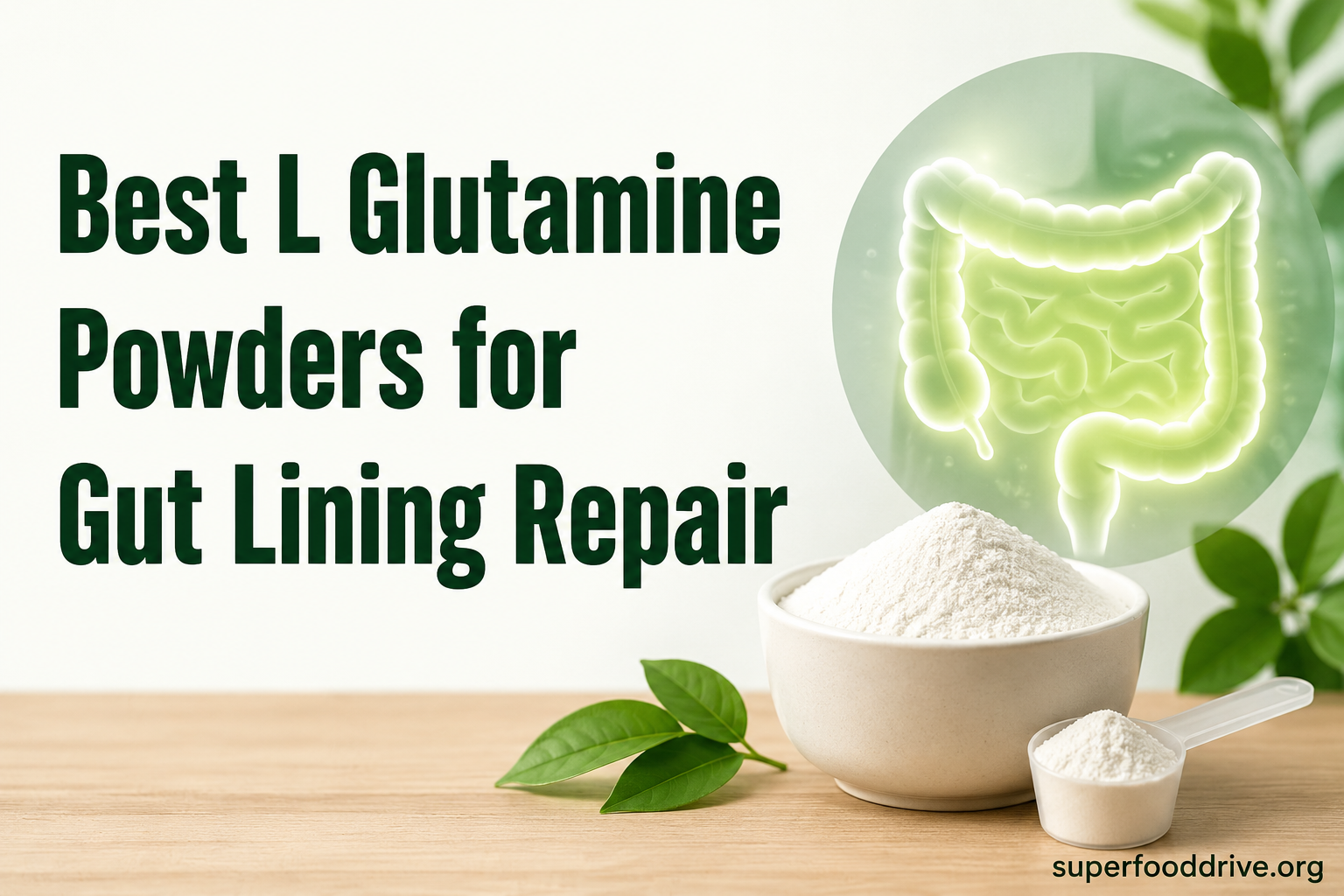 Best L Glutamine Powders for Gut Lining Repair