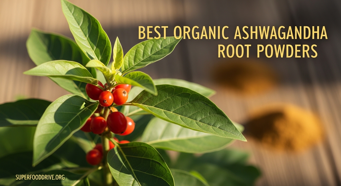Best Organic Ashwagandha Root Powders