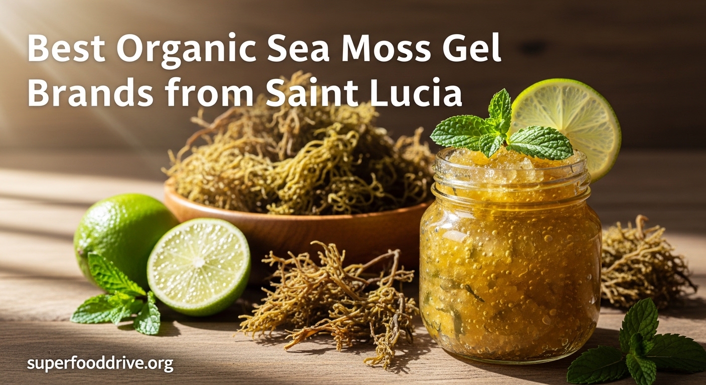 Best Organic Sea Moss Gel Brands from Saint Lucia