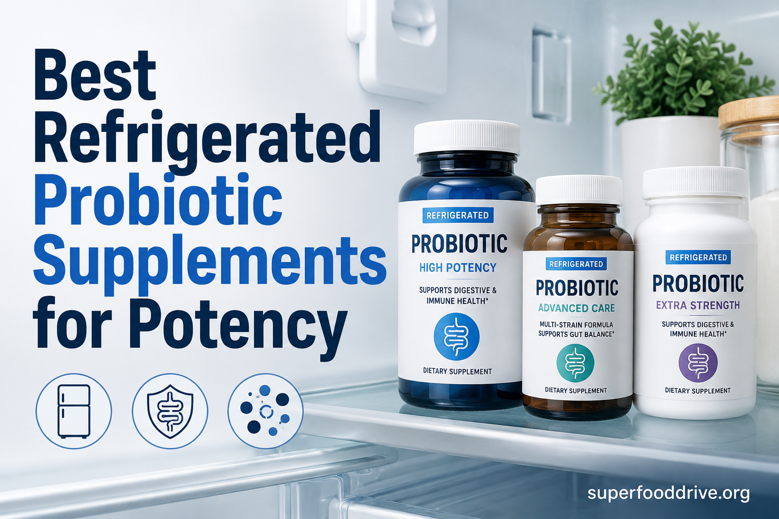 Best Refrigerated Probiotic Supplements for Potency