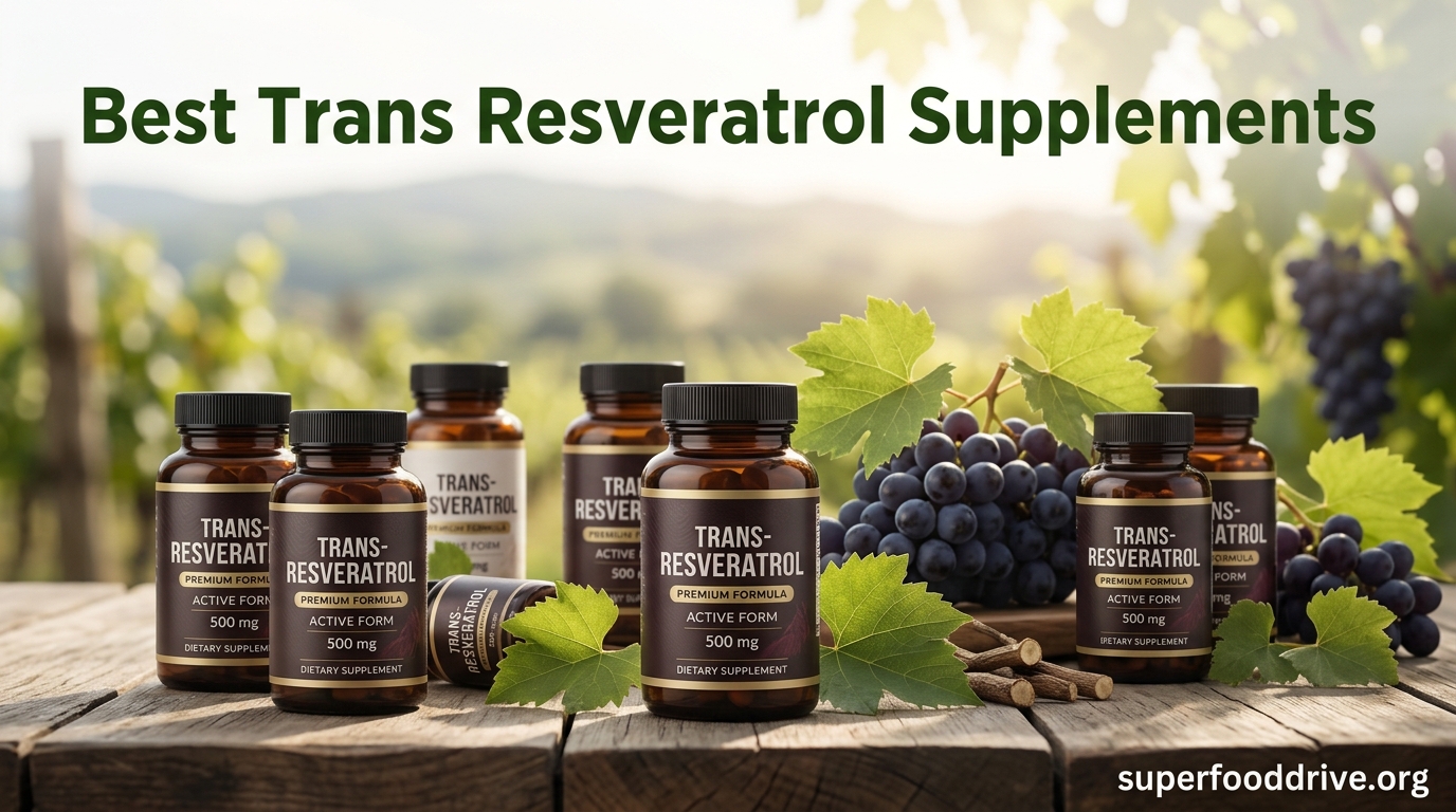 Best Trans Resveratrol Supplements