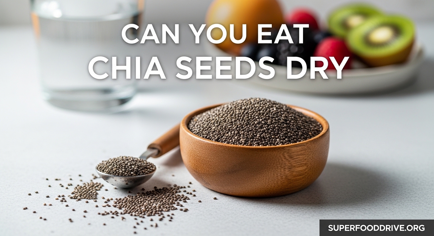 Can You Eat Chia Seeds Dry